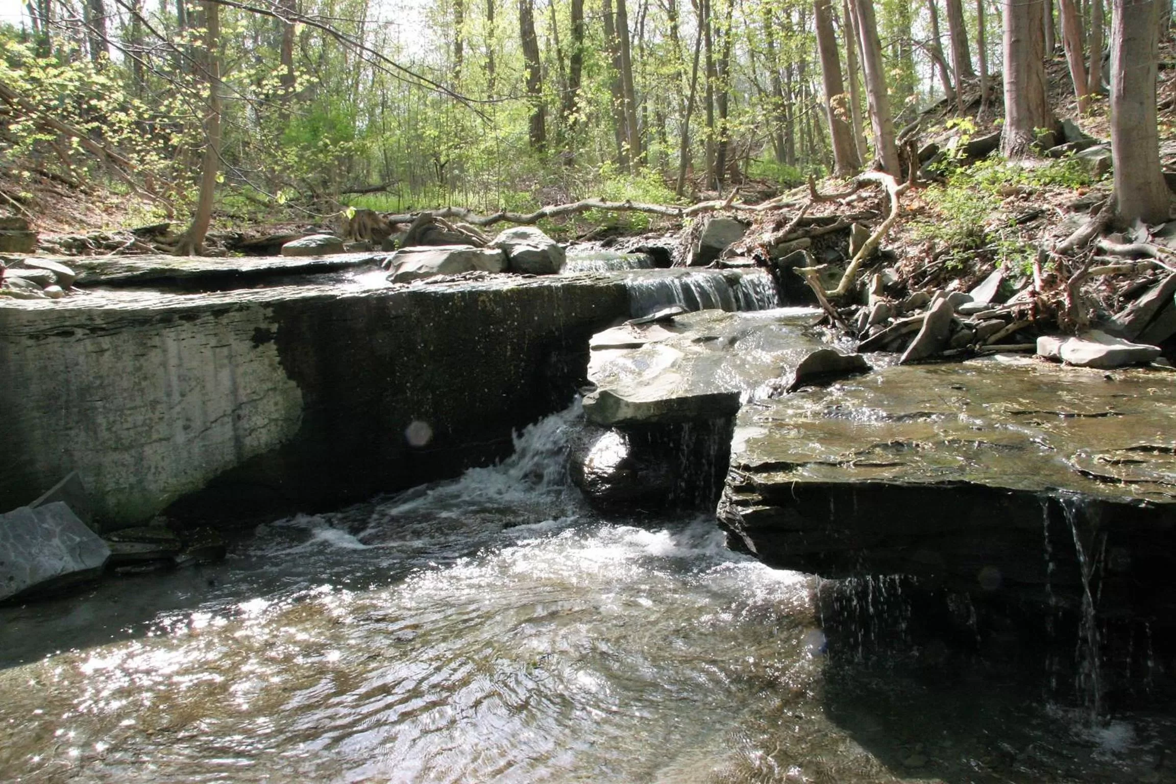 Area and facilities in Lakeside Resort
