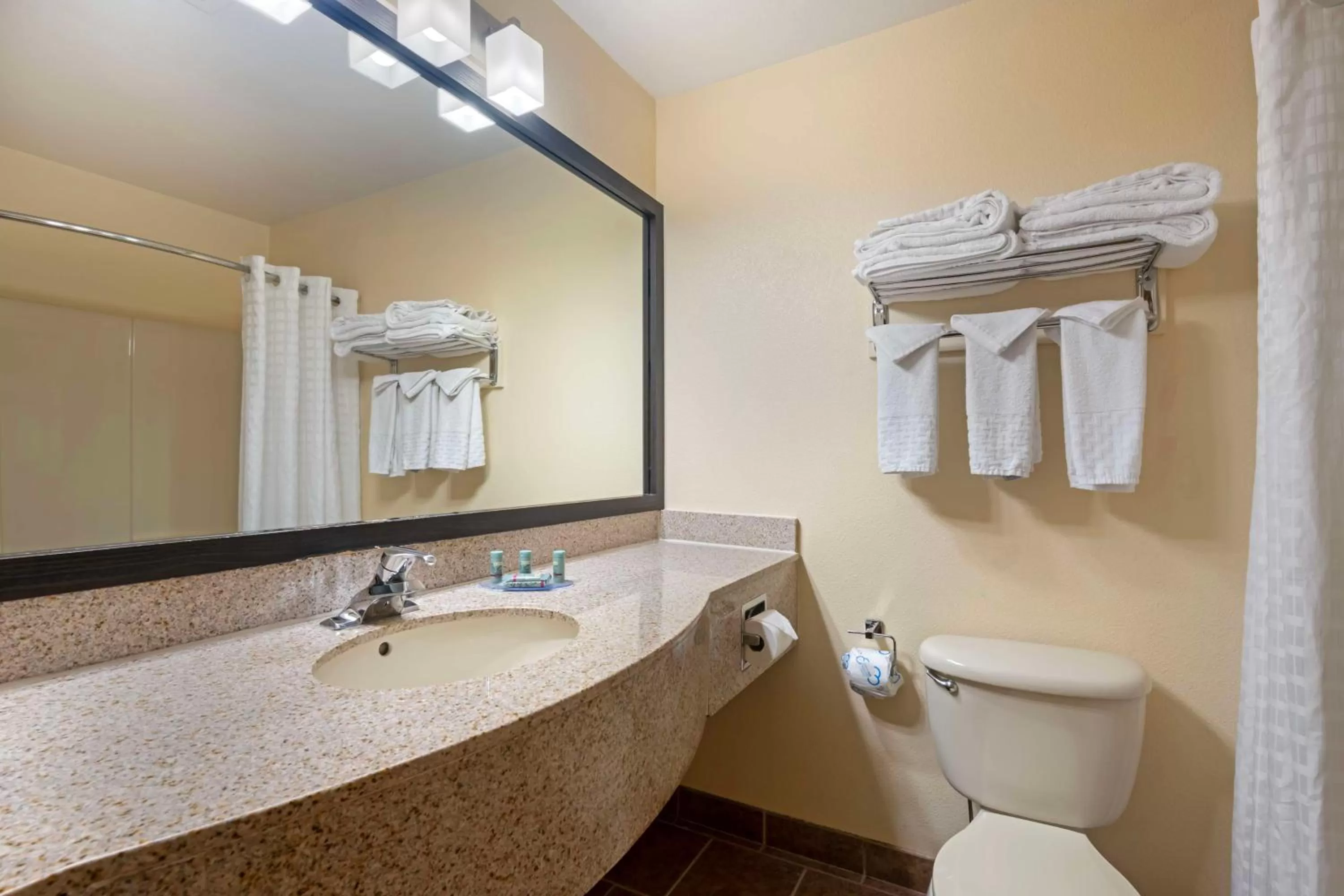 Bathroom in Best Western Laramie Inn & Suites