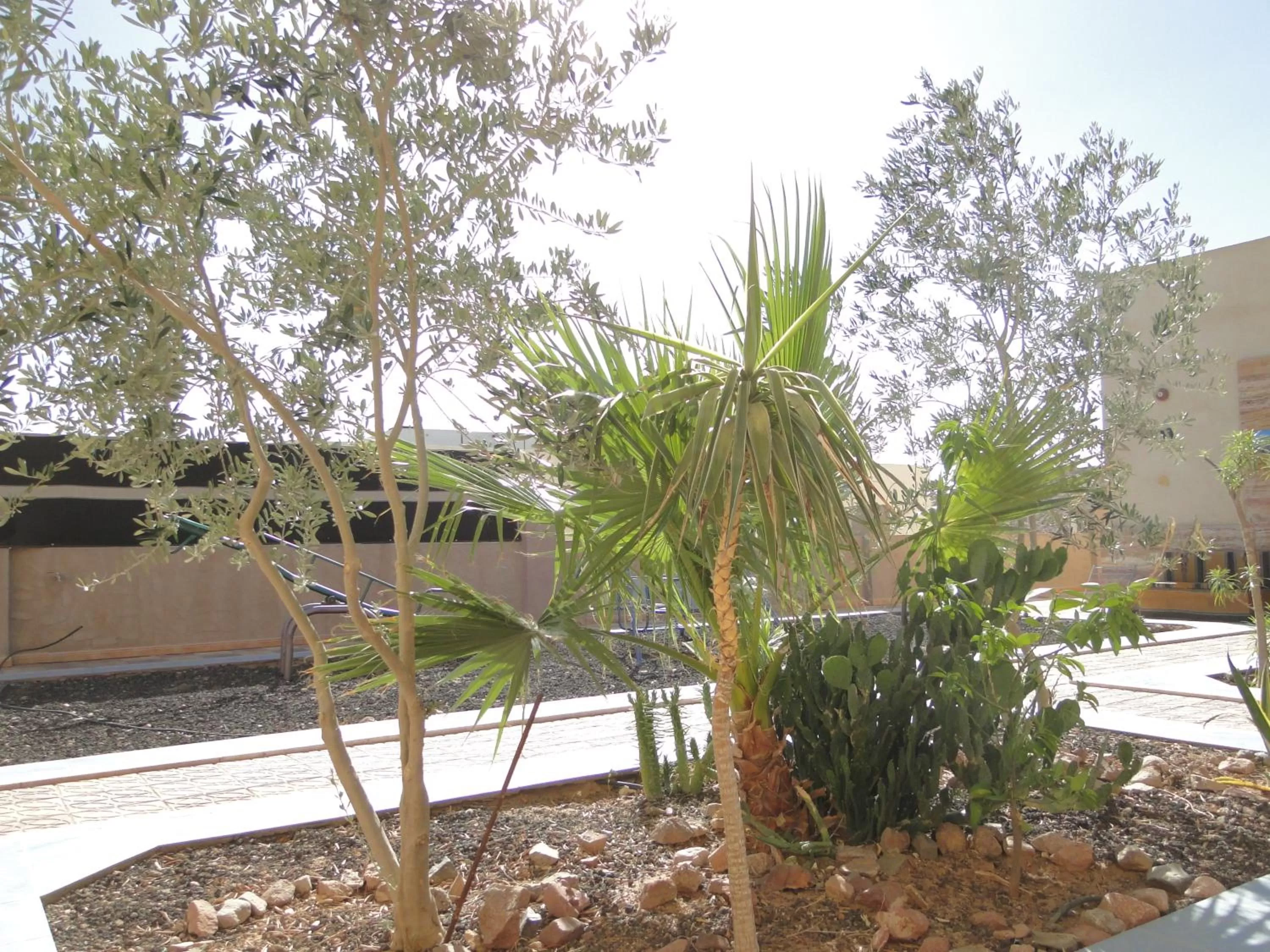 View (from property/room) in Arab Divers Dive Center and Bed & Breakfast