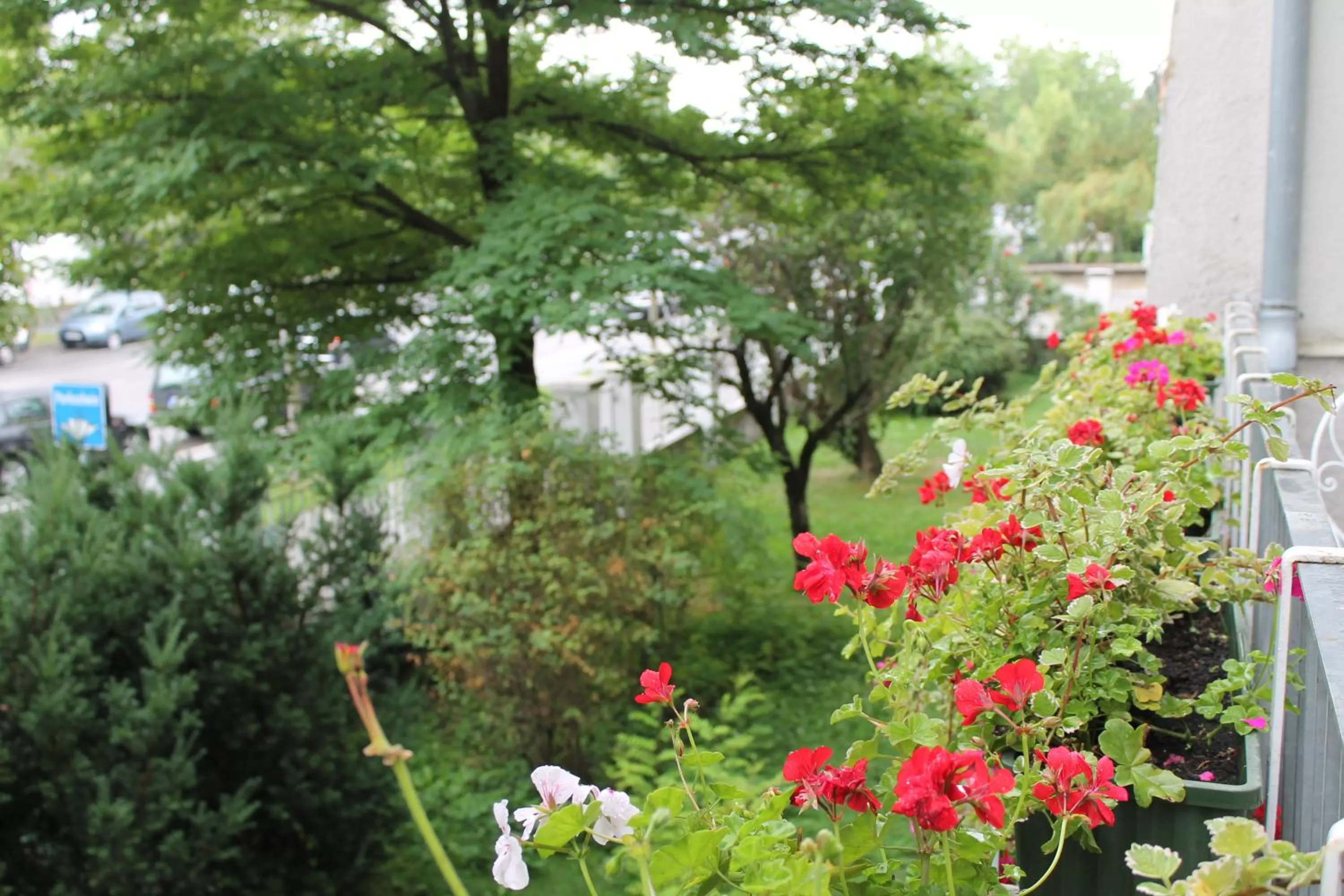 View (from property/room) in Hotel Seibel