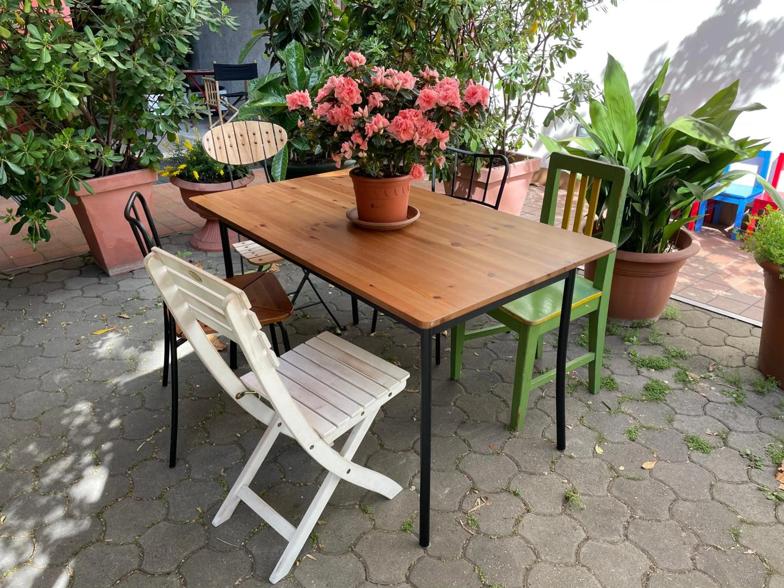 Garden in Il Girasole High Quality Inn