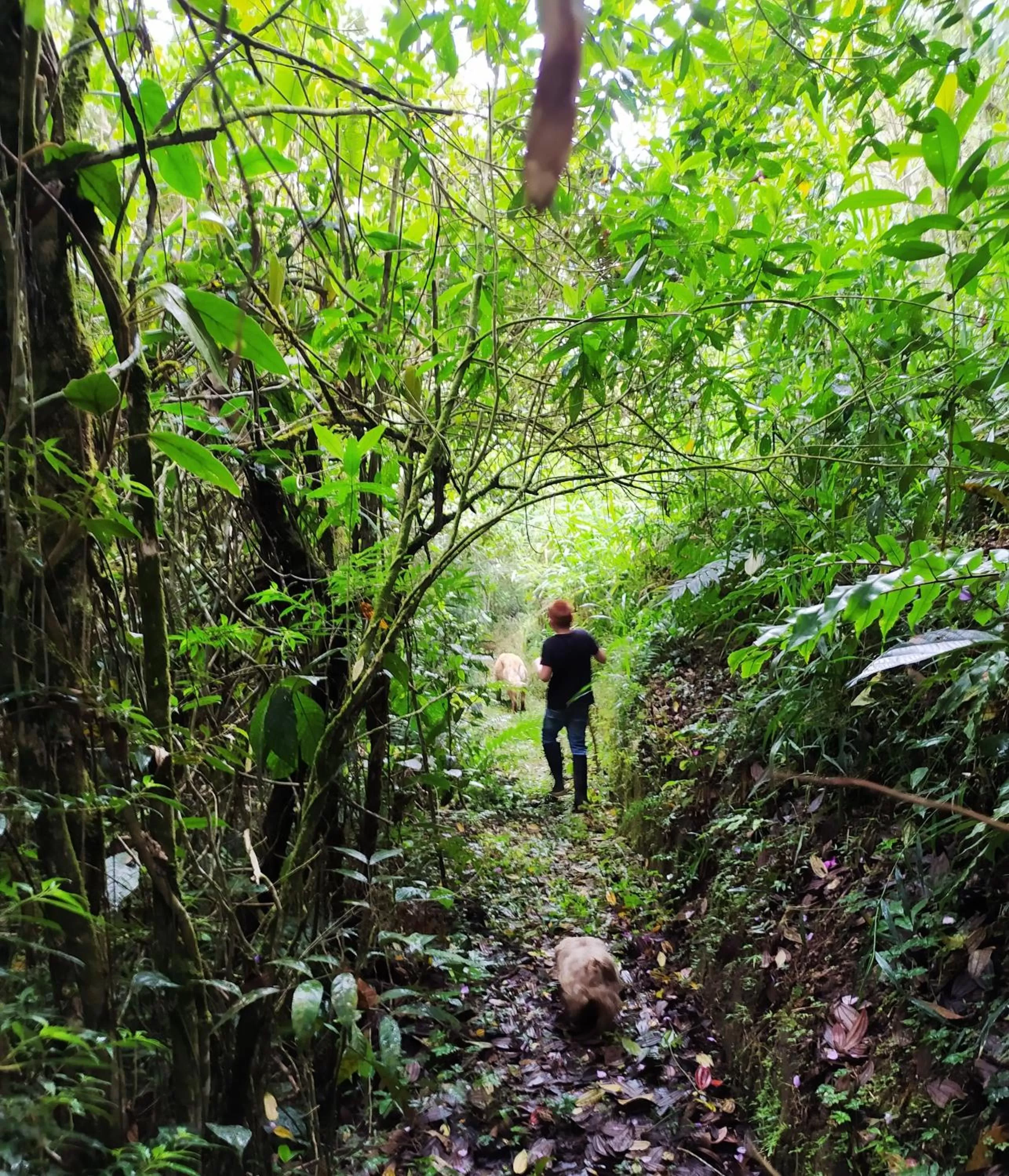 Hiking in Ecohotel Monte Tierra Habitaciones y Glamping