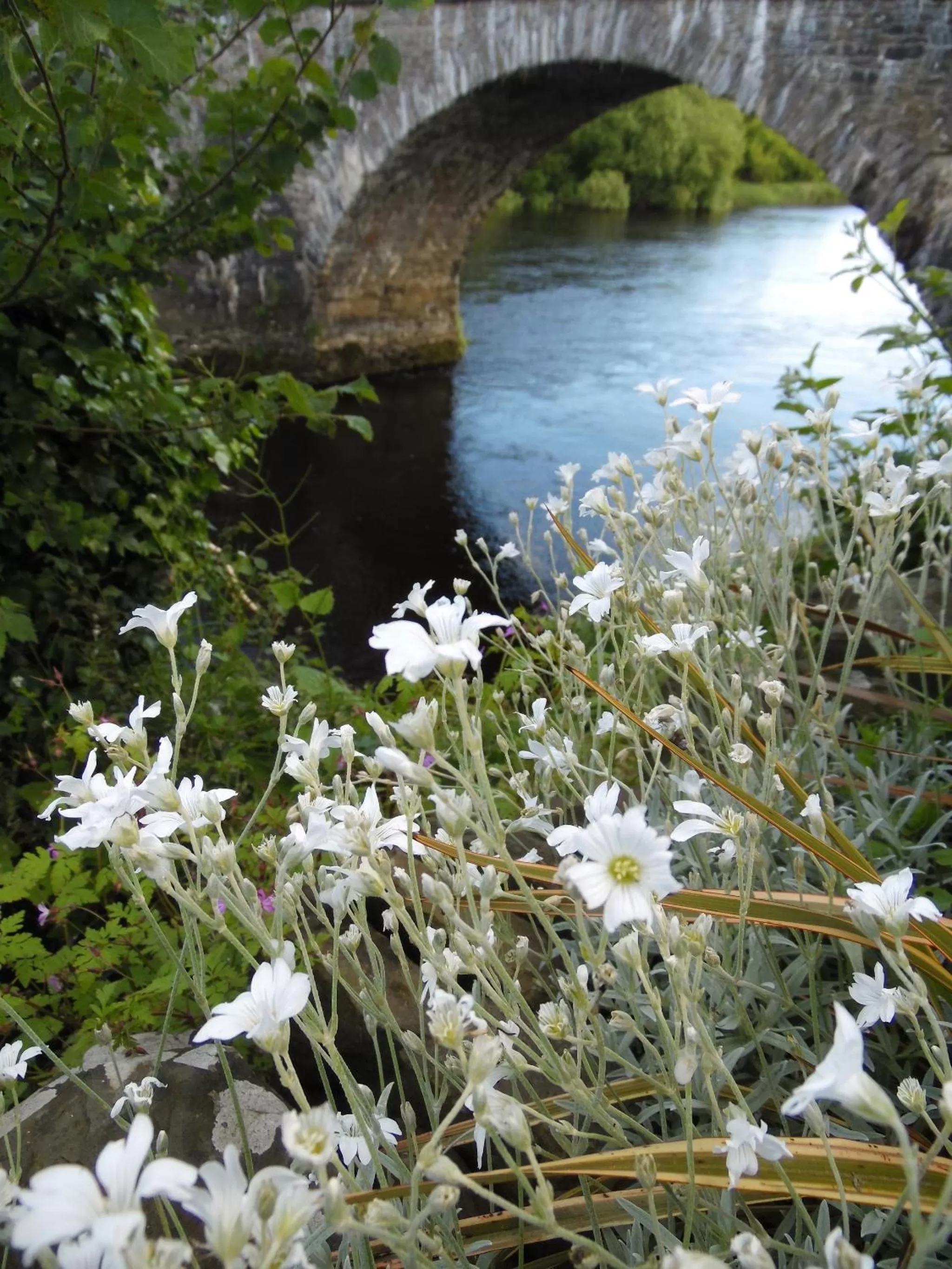 Decorative detail in The Haven B&B