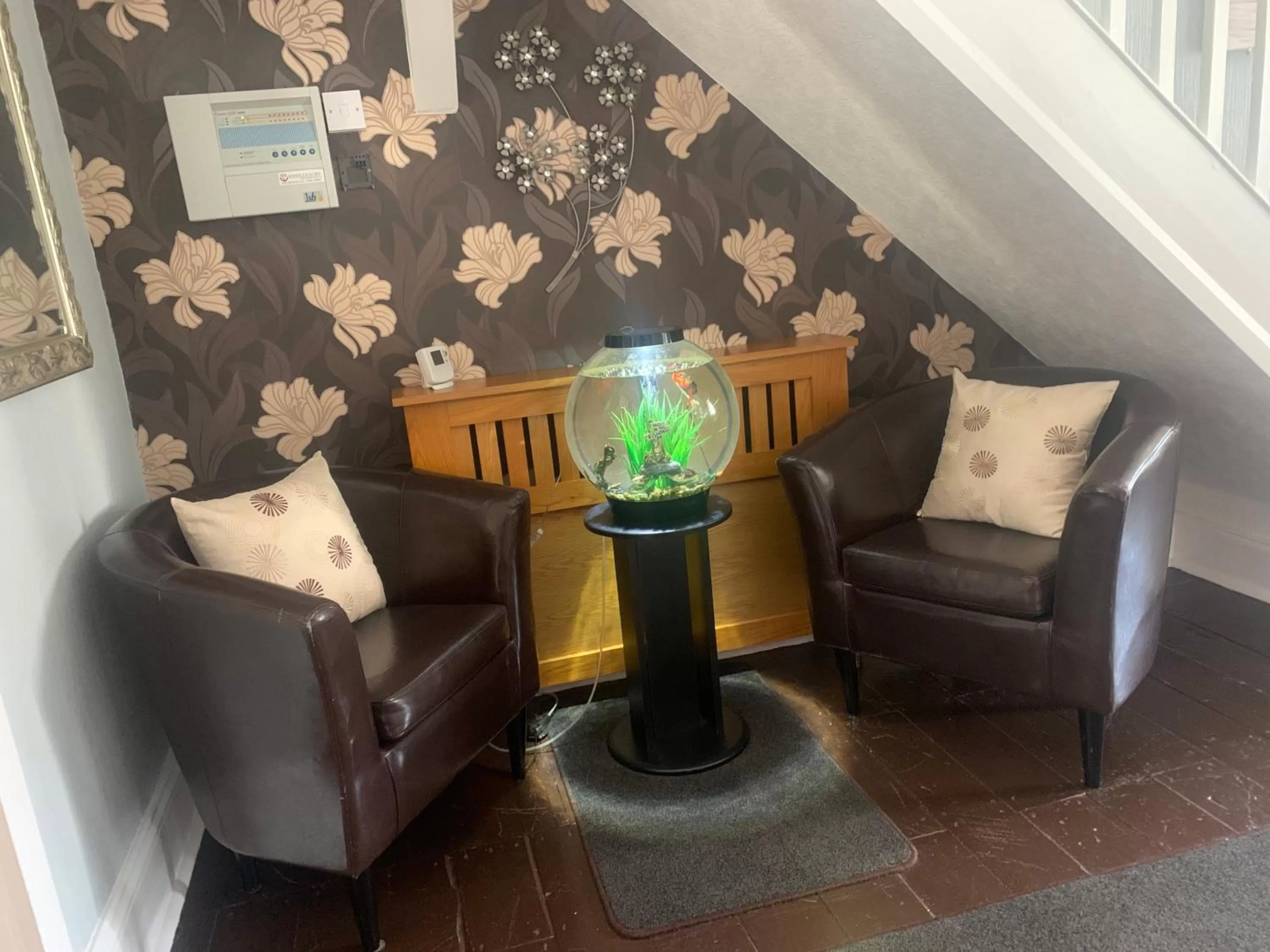 Other in Arran Lodge B&B