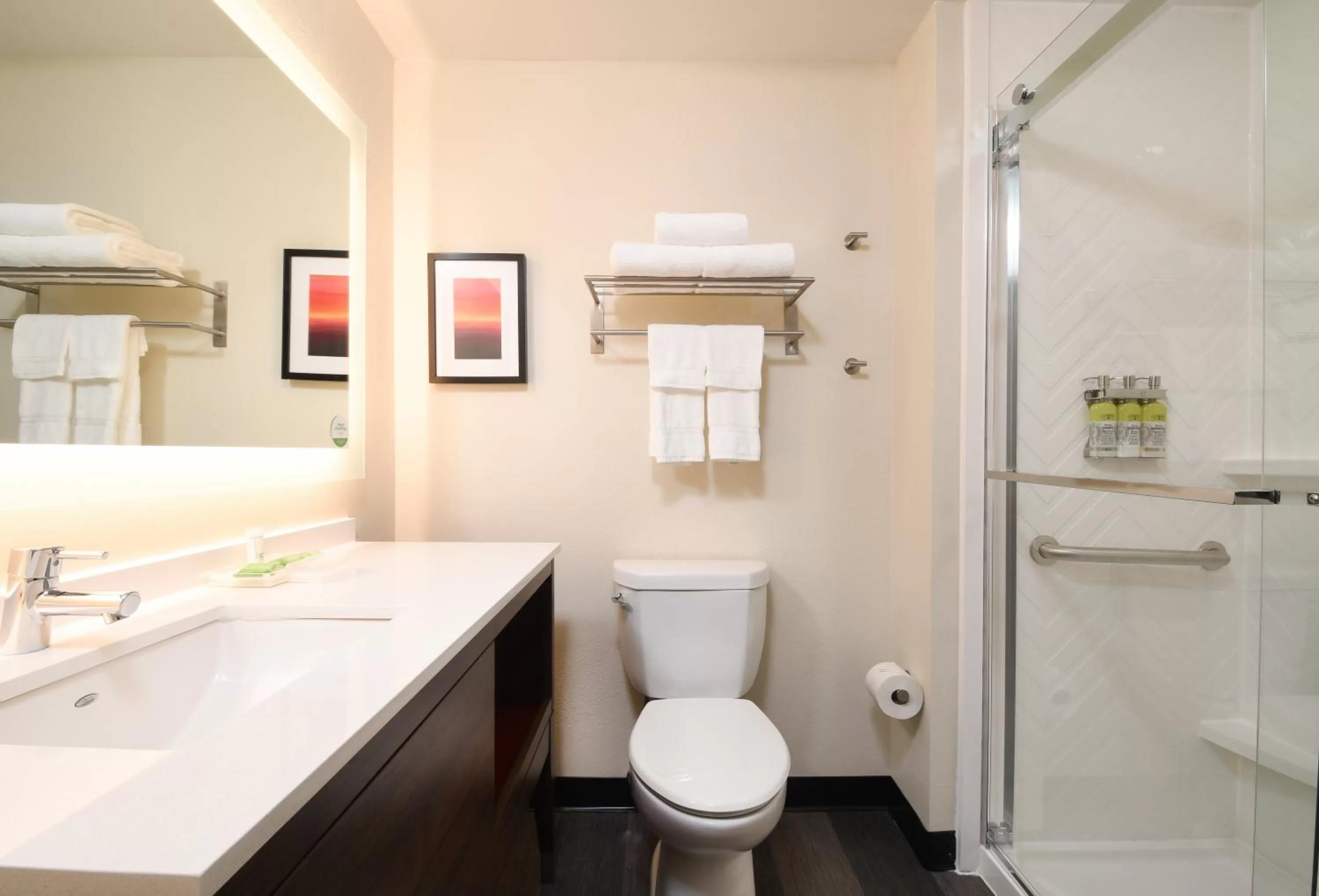 Bathroom in Holiday Inn Fredericksburg - Conference Center by IHG