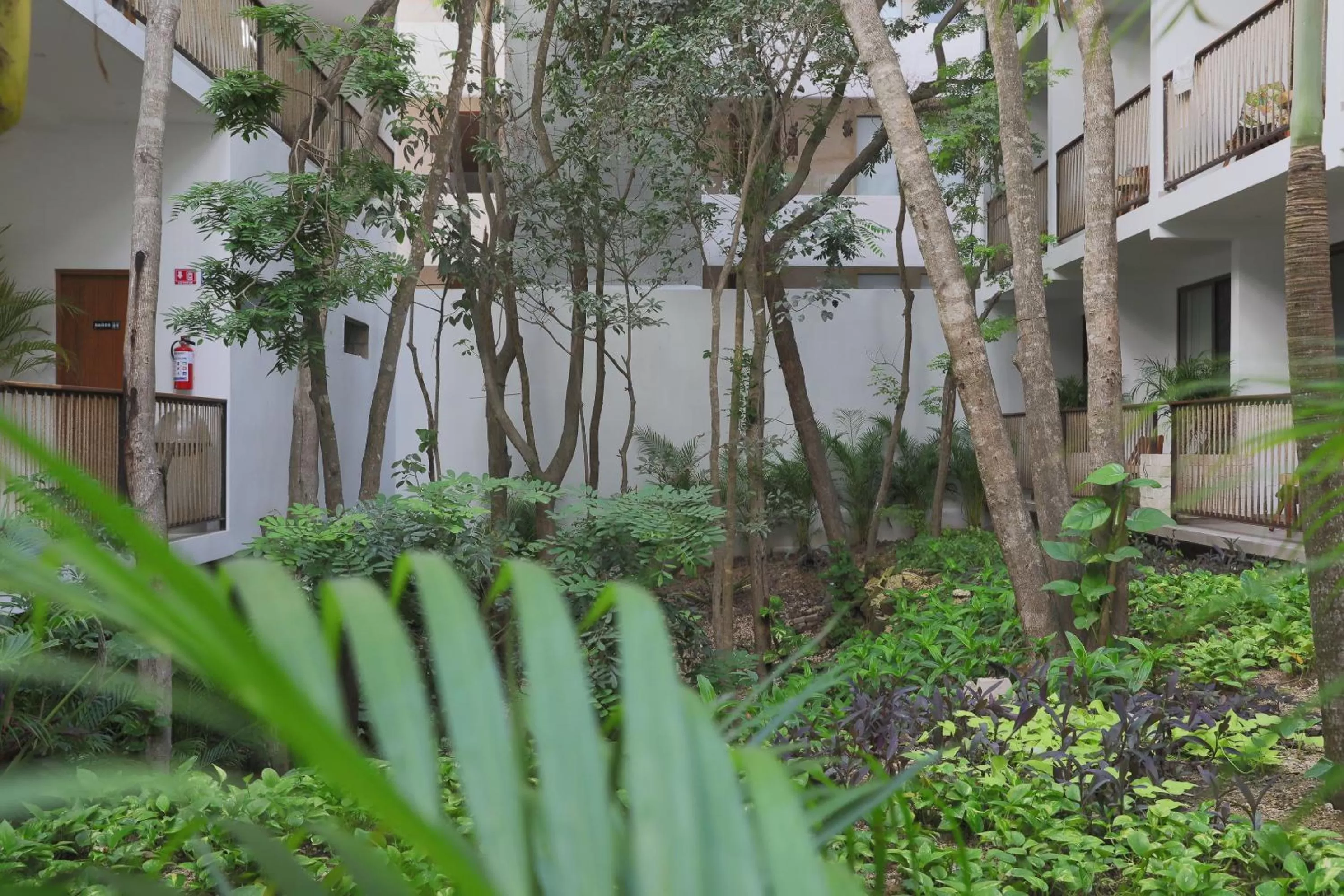 Garden in Hotel Blanco Tulum Adults Only