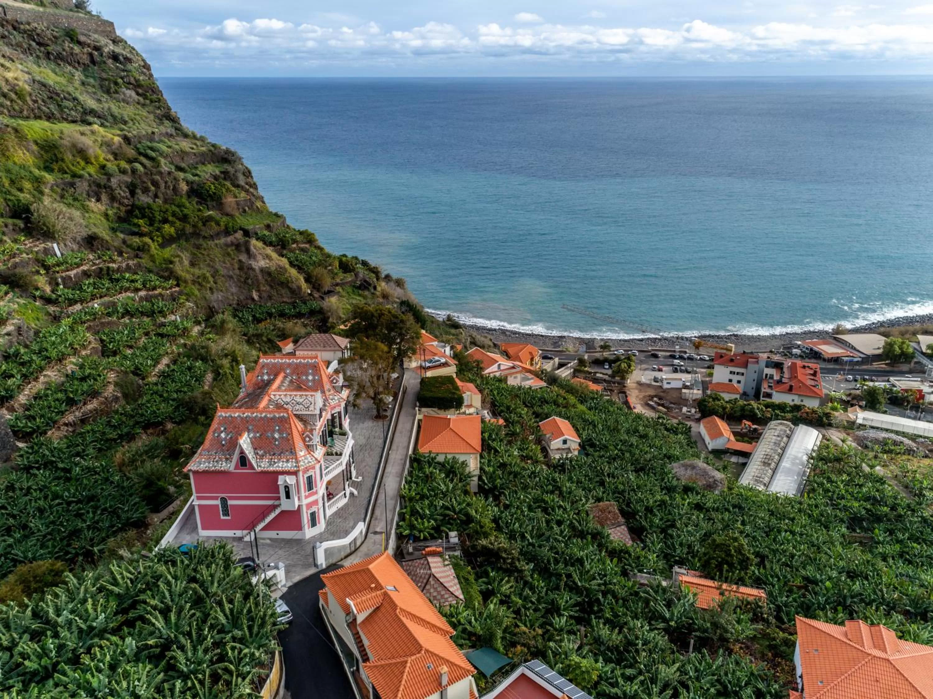 Bird's eye view in 1905 Zino's Palace