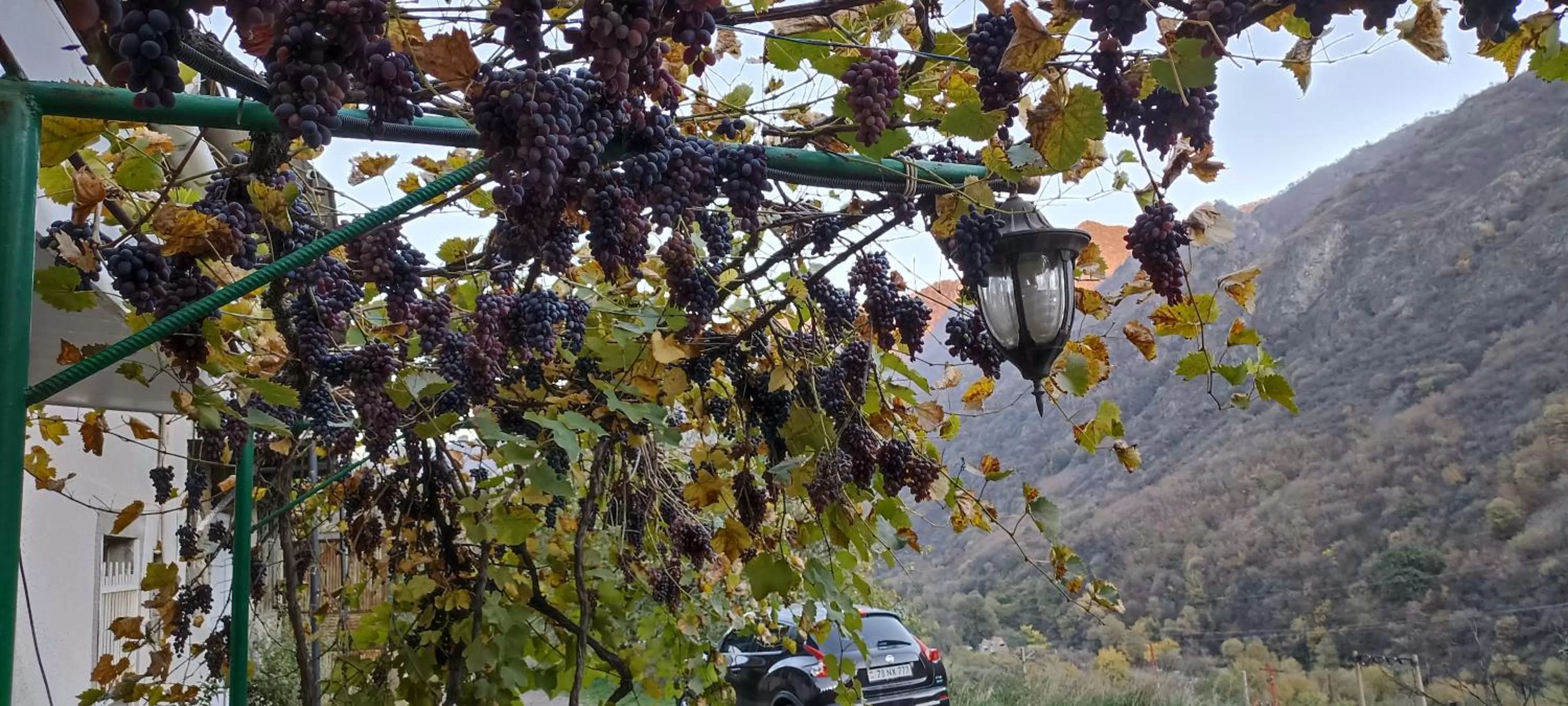 IRIS B&B in DEBED CANYON