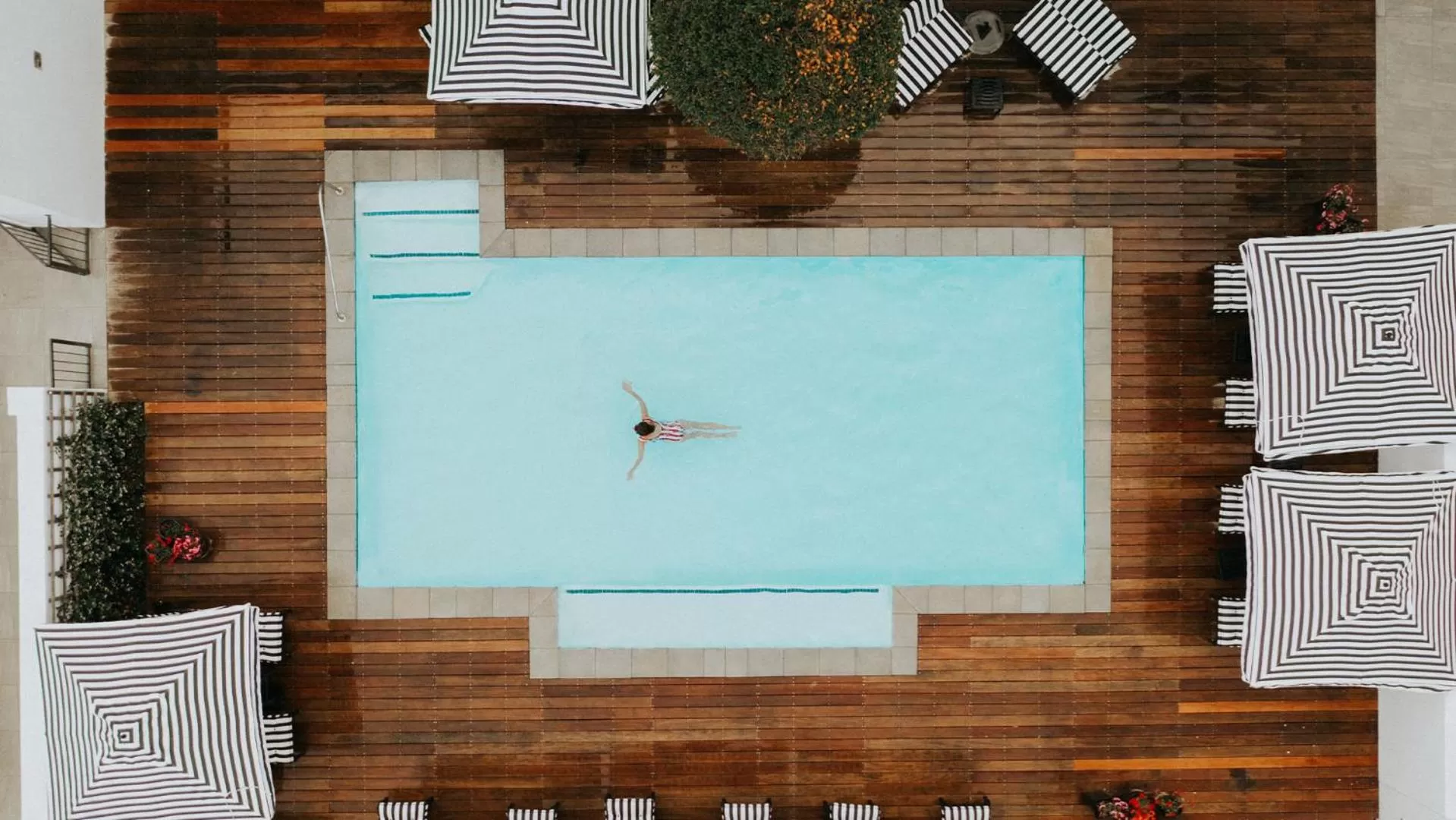 Swimming pool in The Winchester Hotel by NEWMARK