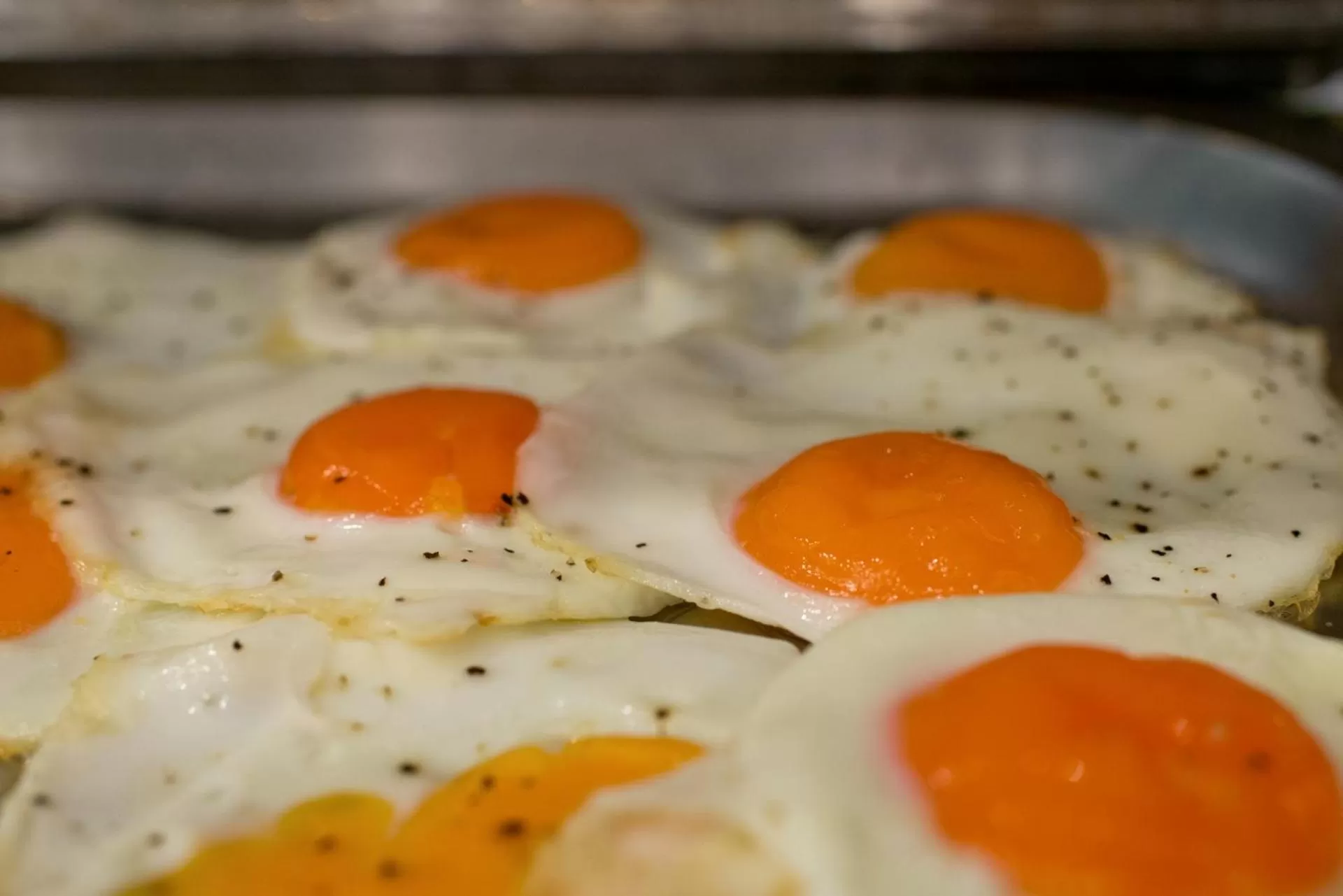 Food in BEST BALTIC Hotel Druskininkai Central