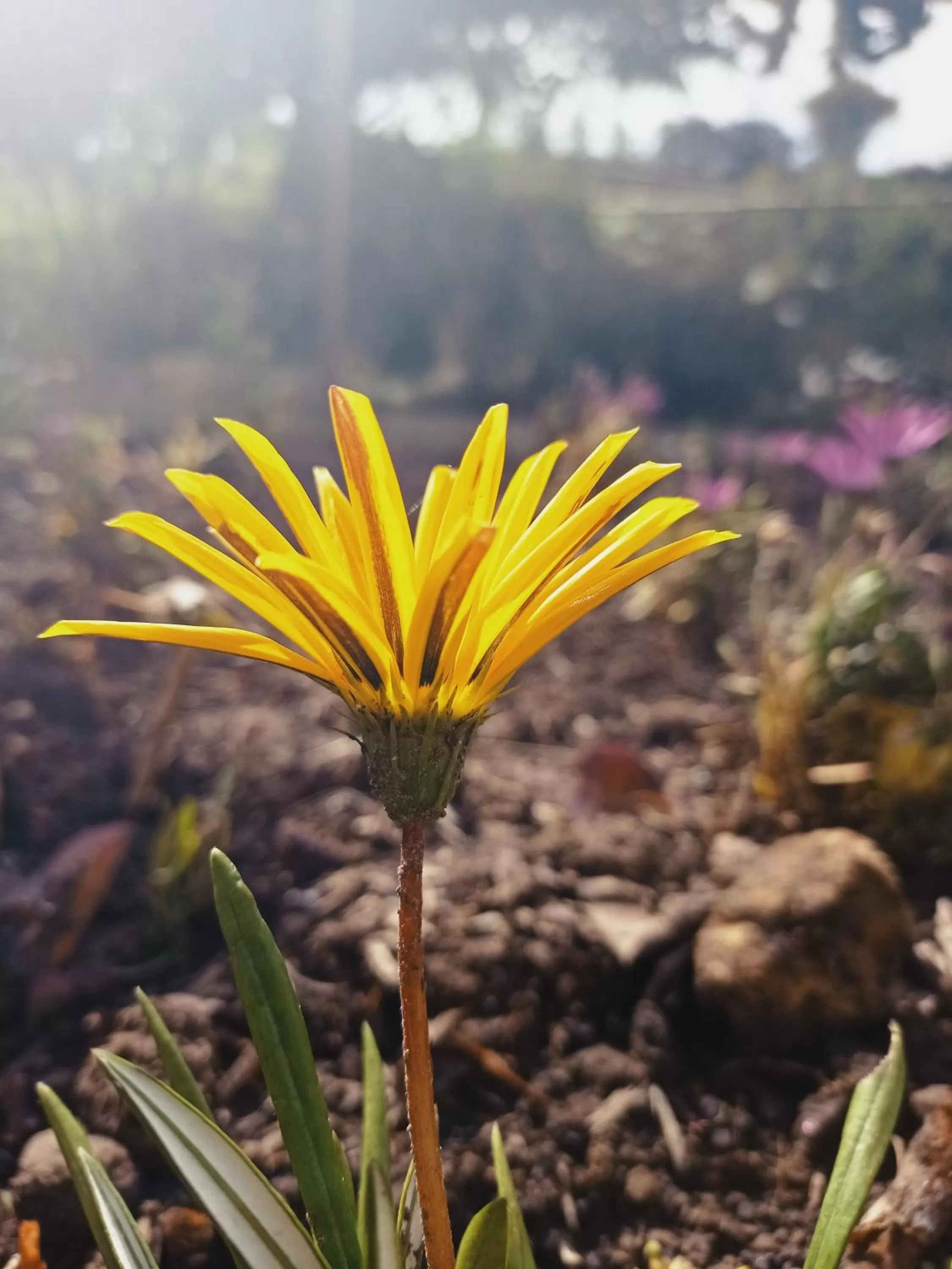 Hotel Refugio Pozo Azul