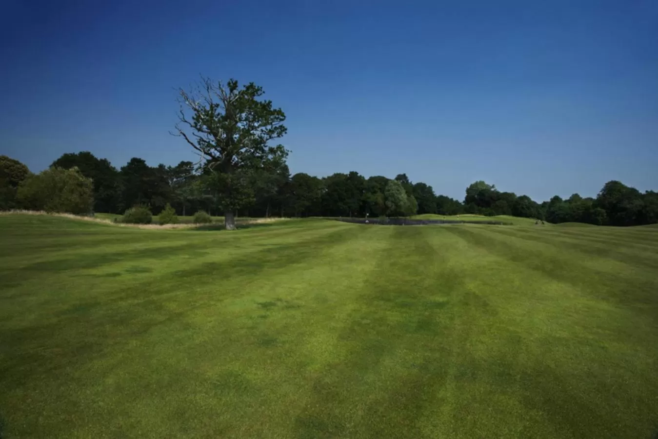 Golfcourse in The Warwickshire Hotel and Country Club