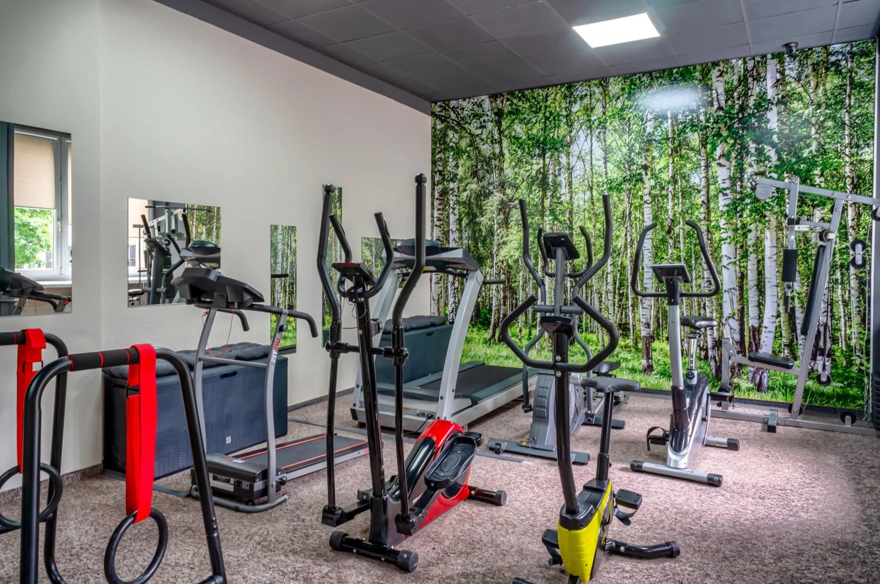Fitness centre/facilities in Mercure Czestochowa Centrum