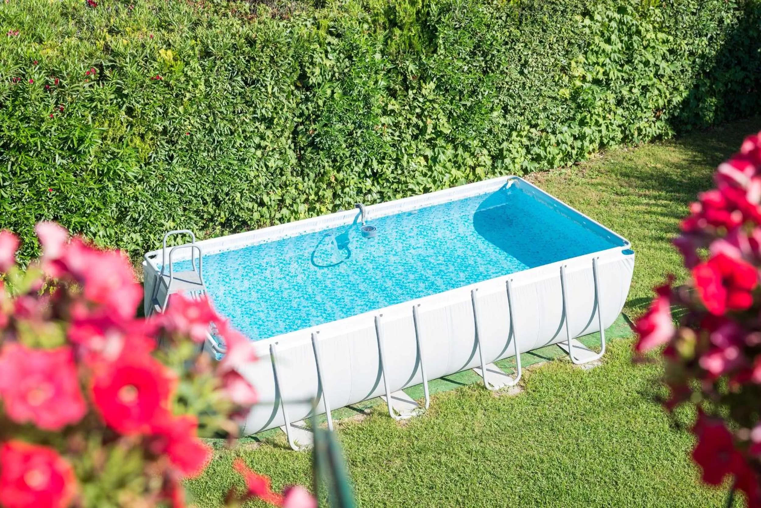 Swimming pool, Pool View in B&B Il Girasole