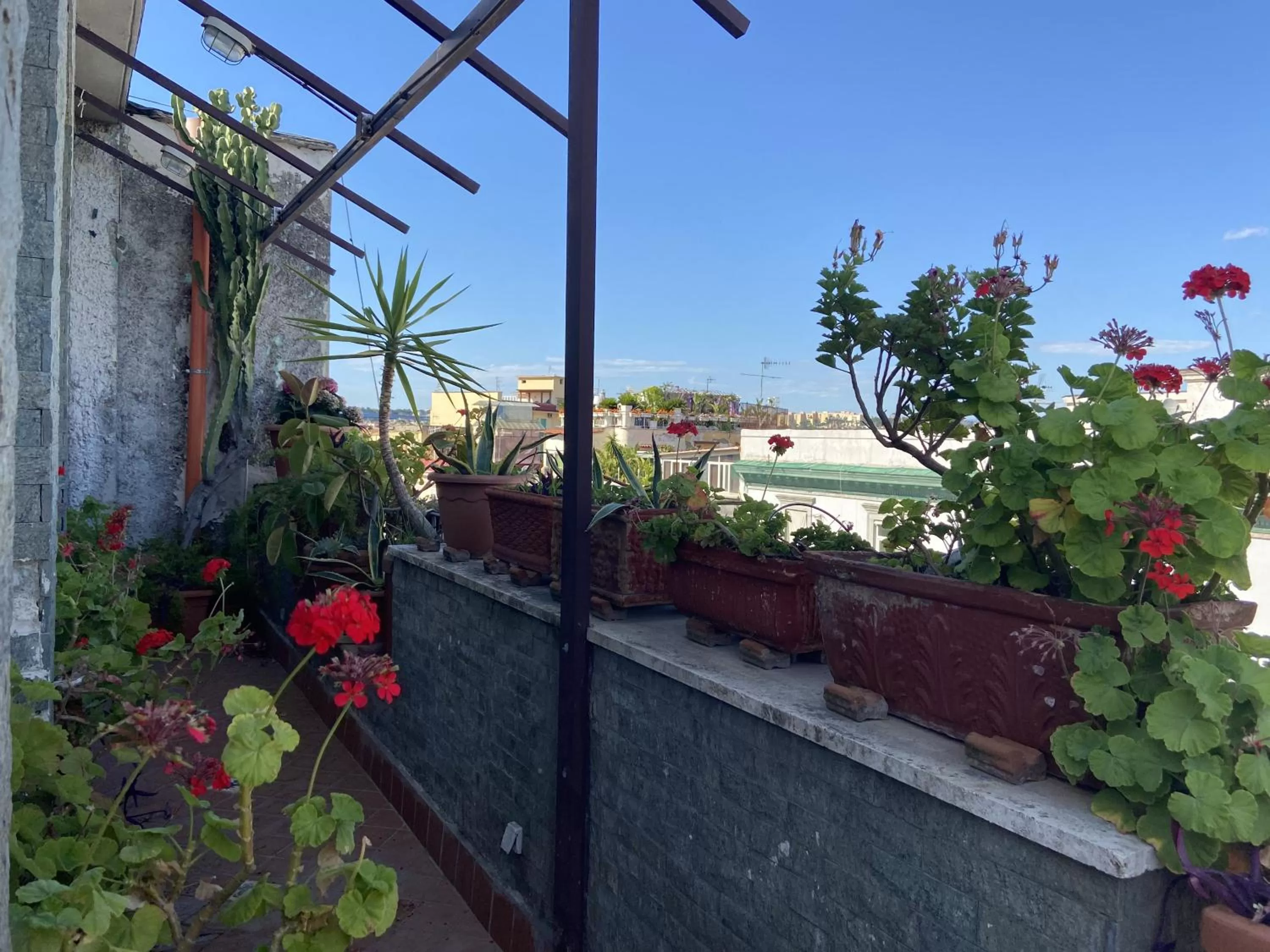 Balcony/Terrace in Up Hotel