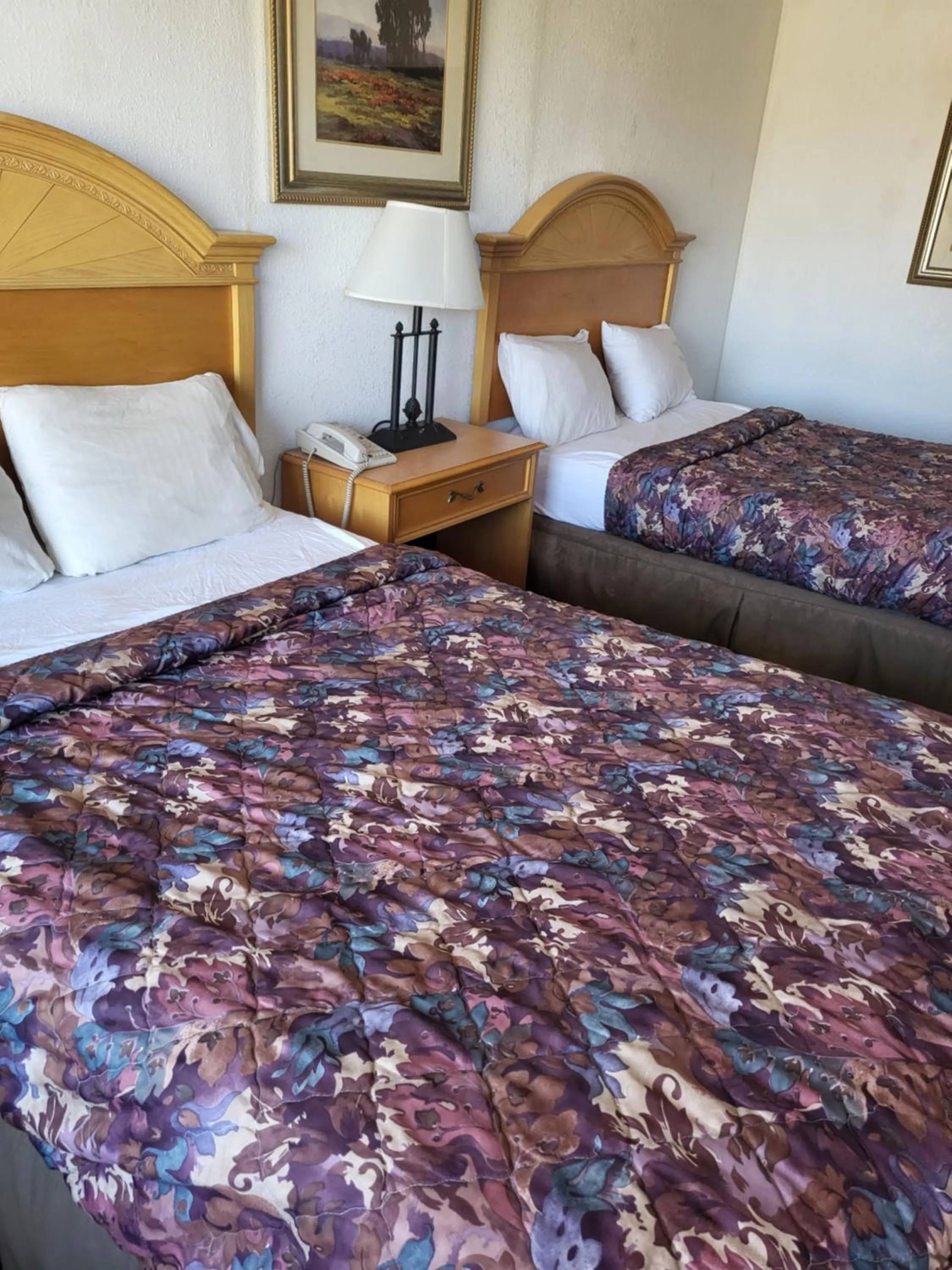 Bed in Rodeway Inn Brazil