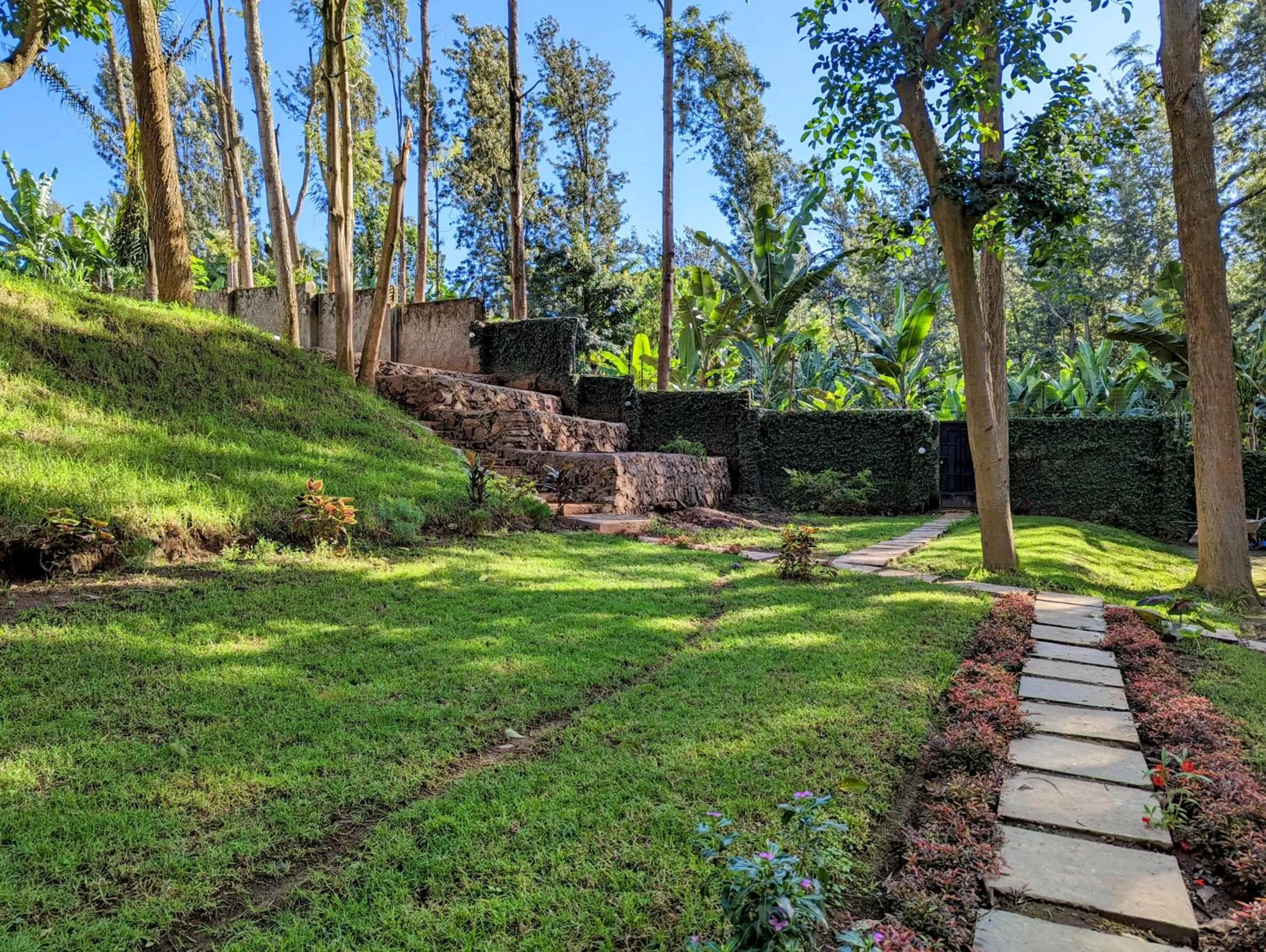 Spring in Mvuli Hotels Arusha