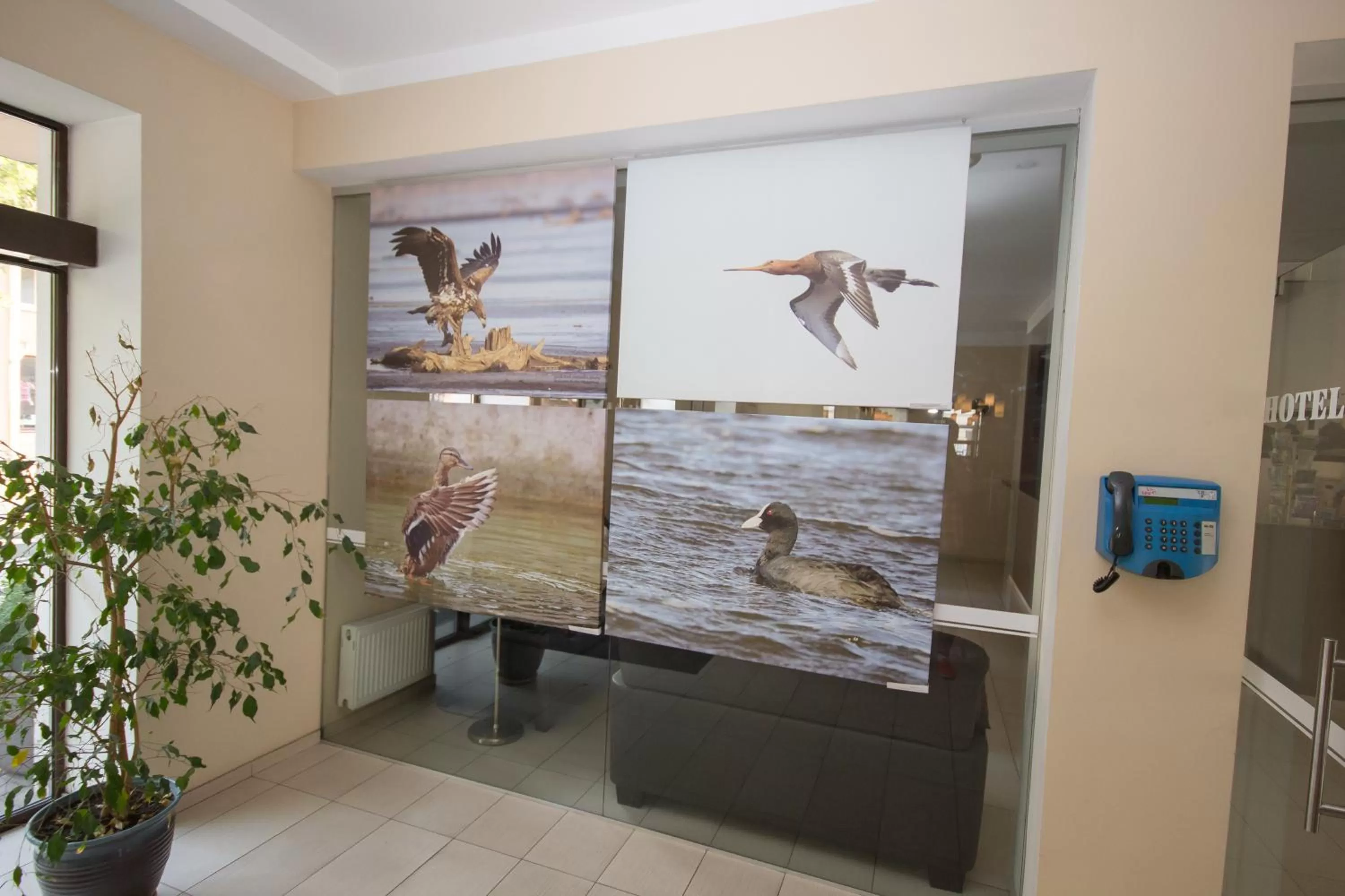 Lobby or reception in Deims Hotel