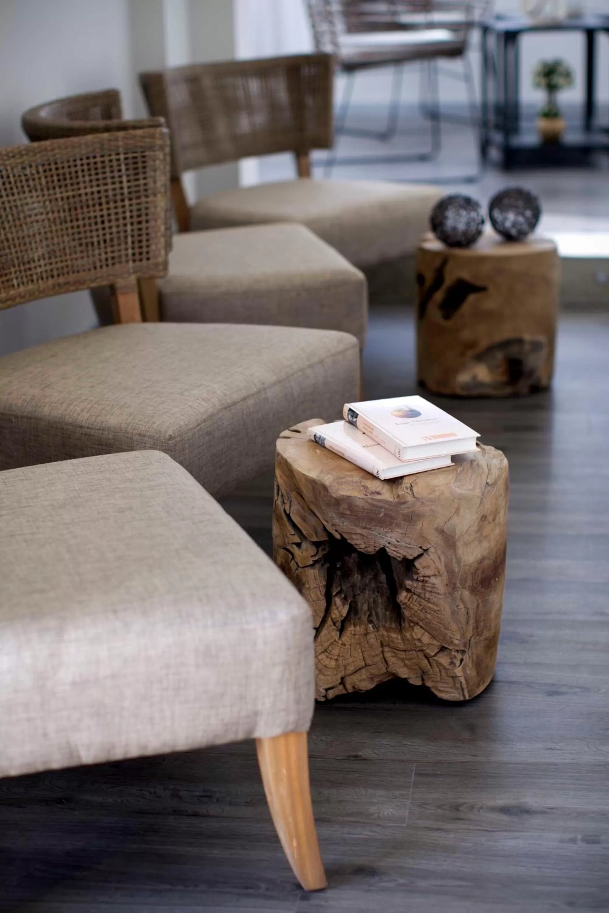 Other in Salamanca Suite Studios