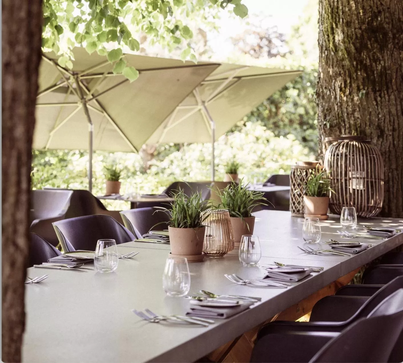 Balcony/Terrace in Hotel de Sterrenberg - Adults Only