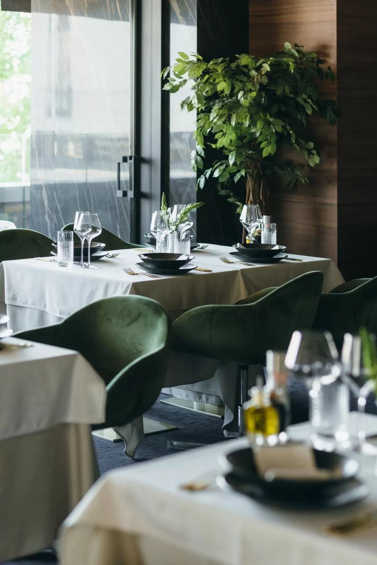 Restaurant/places to eat in Ambasador Hotel