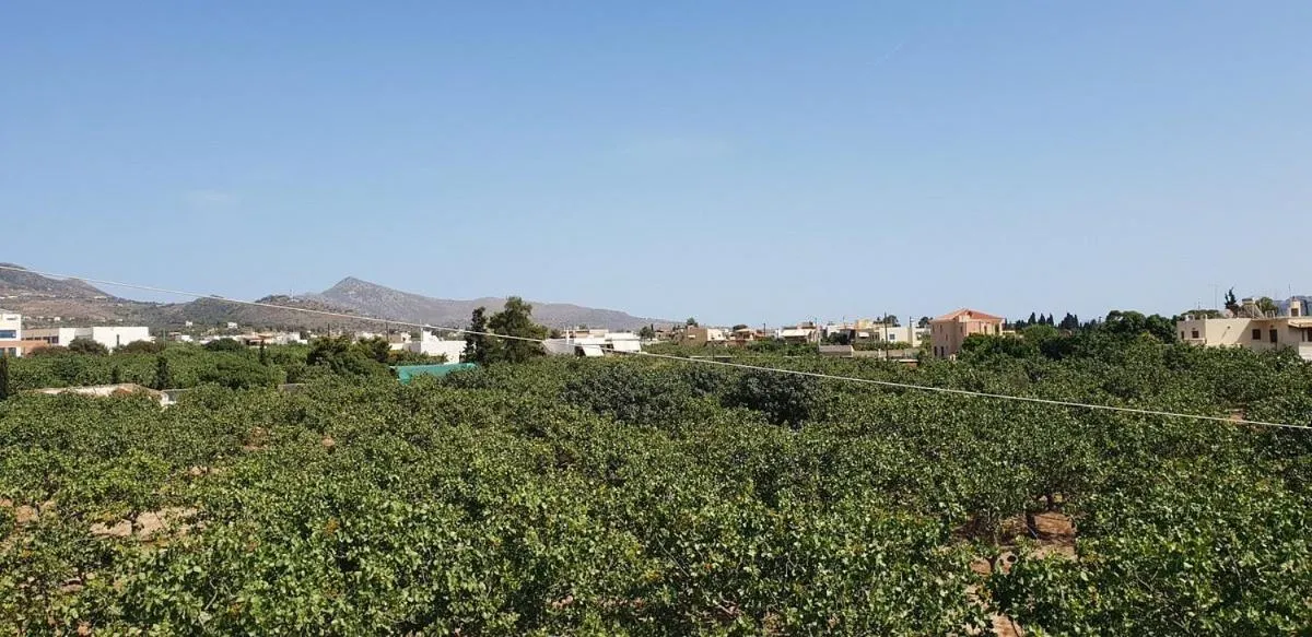 Day in Miranta Hotel - Apartments & Studios