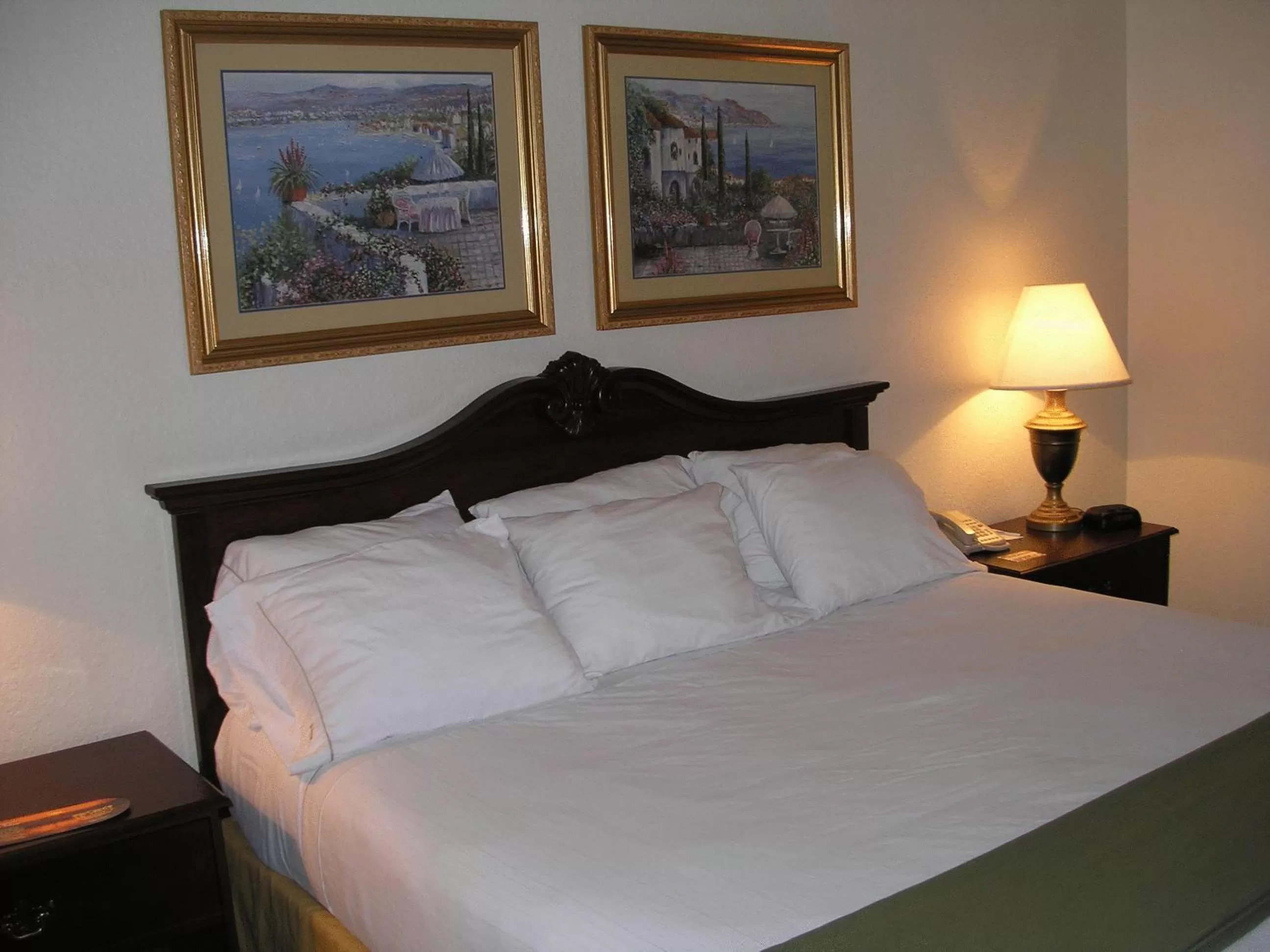 Decorative detail, Bed in Ruskin Inn Tampa-Sun City Center