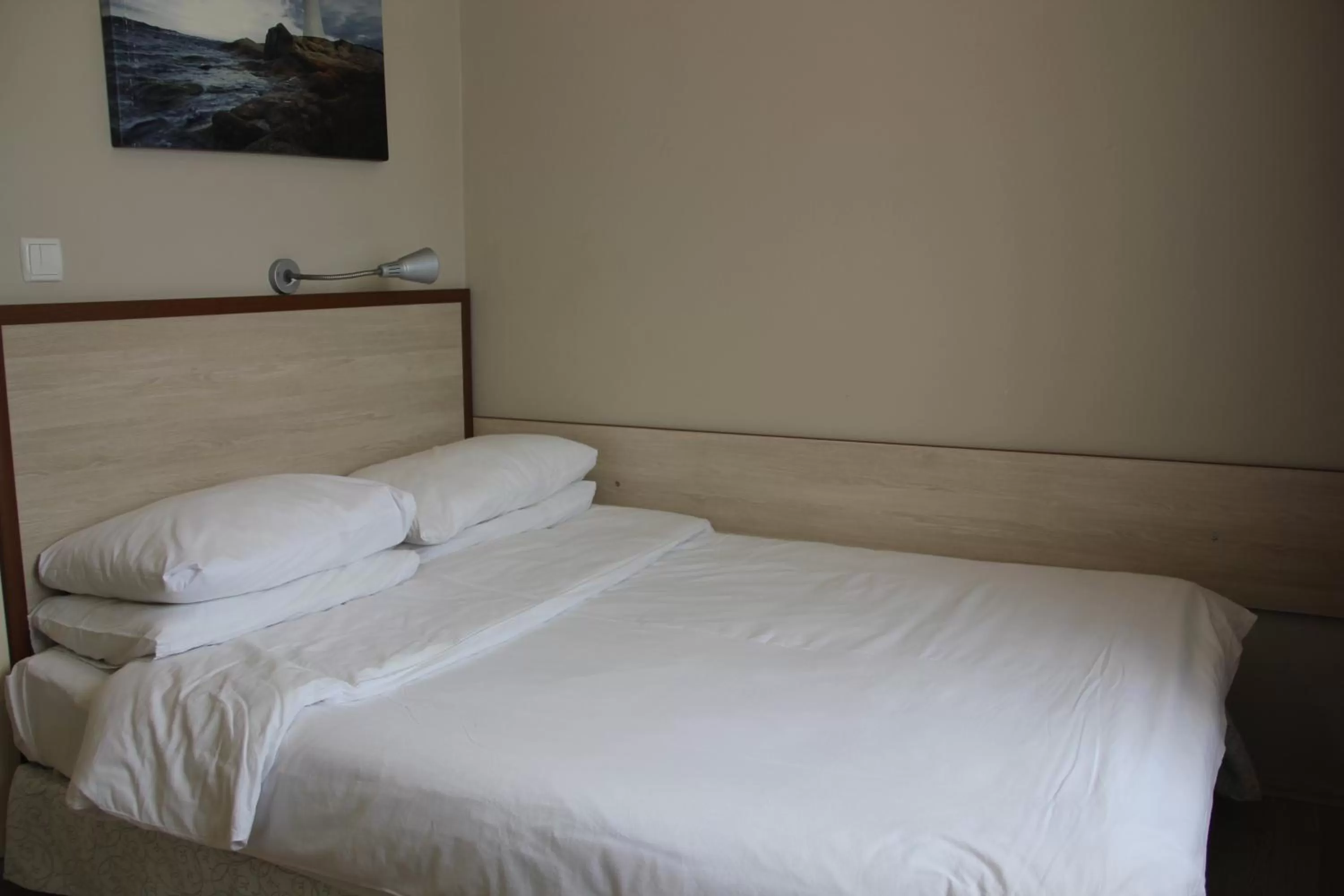 Photo of the whole room, Bed in Hotel Crowded House