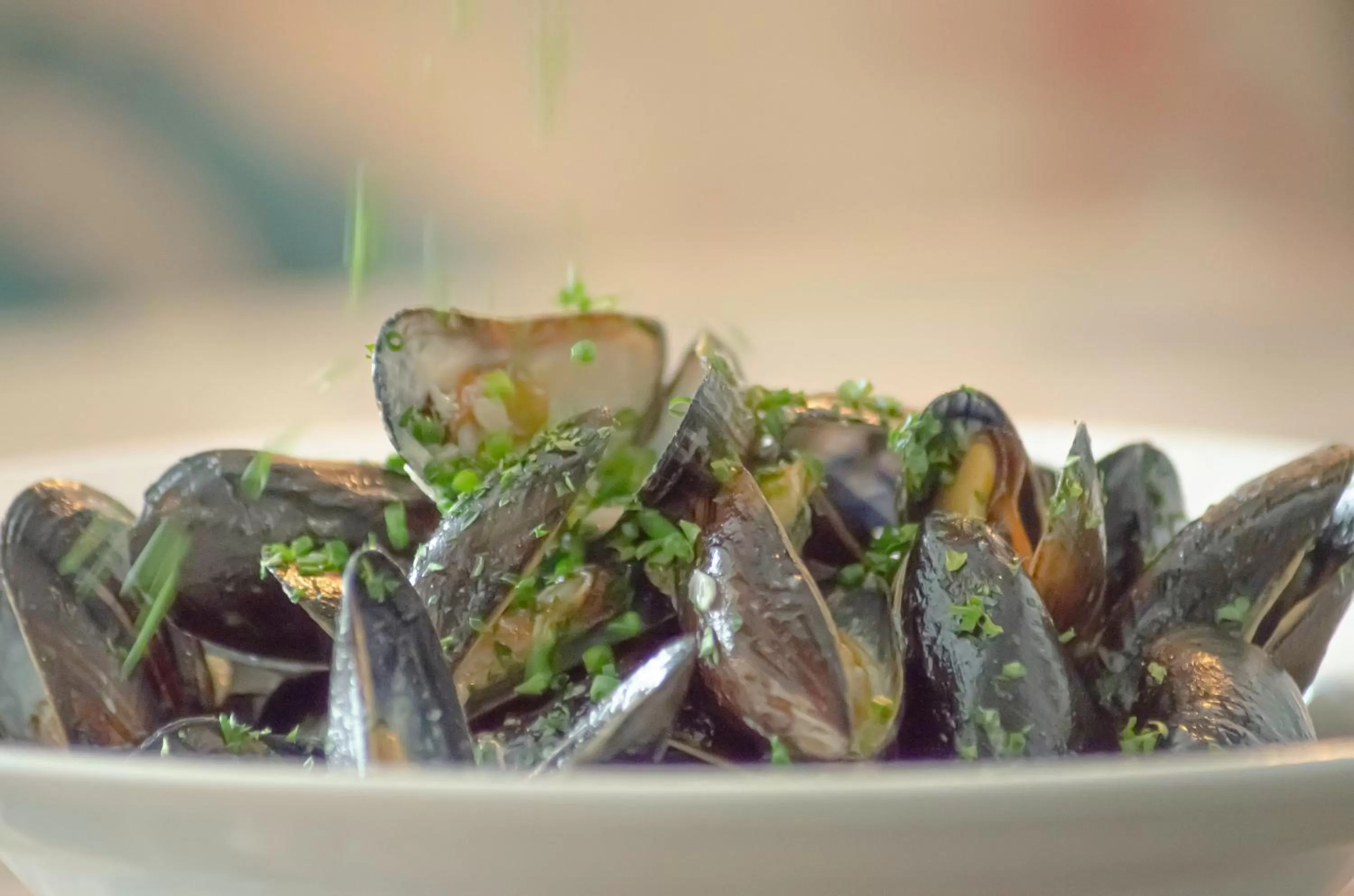 Food and drinks in Molesworth Arms