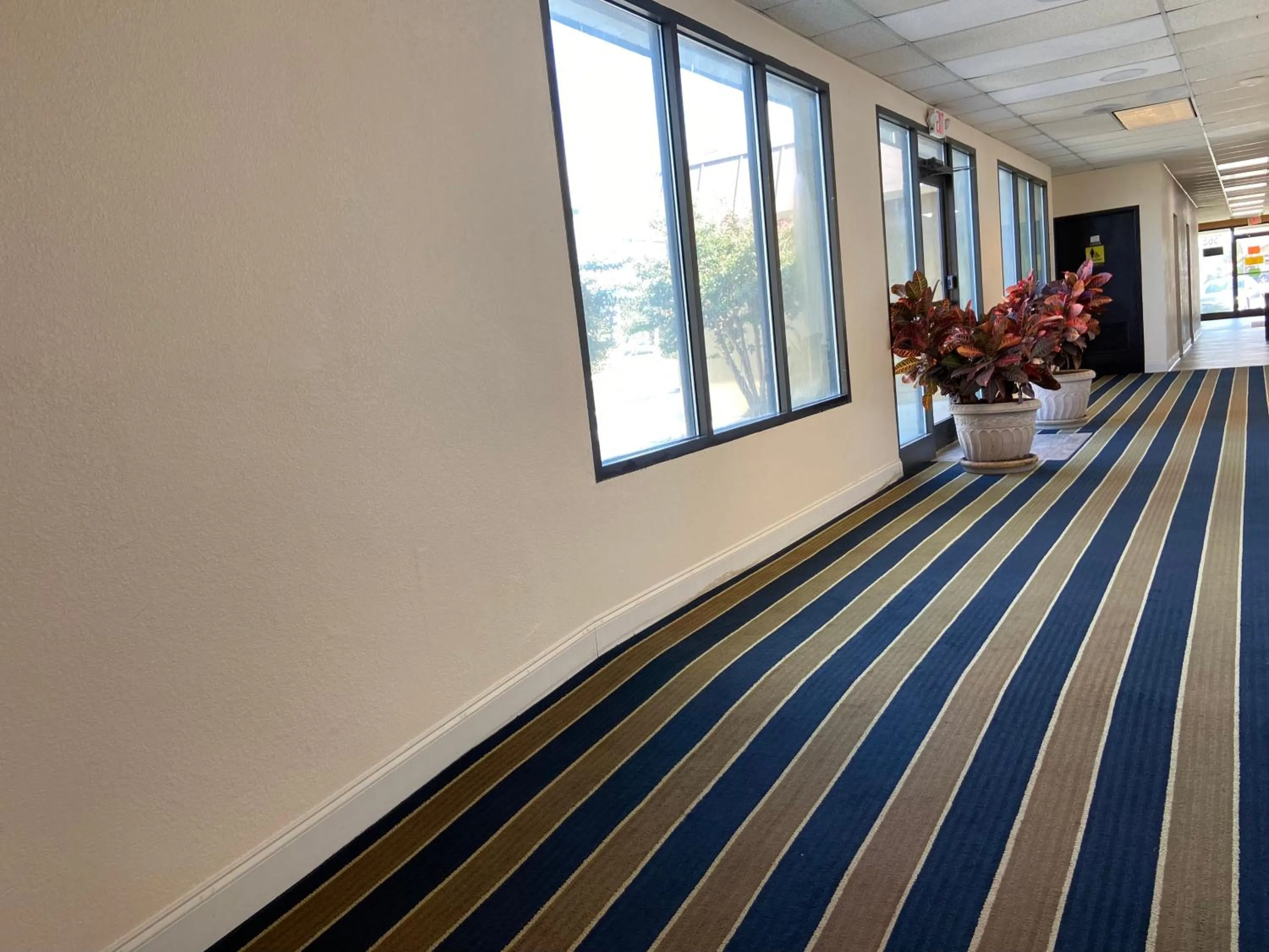 Property building in Super 8 by Wyndham Rocky Mount I-95 EXIT 145