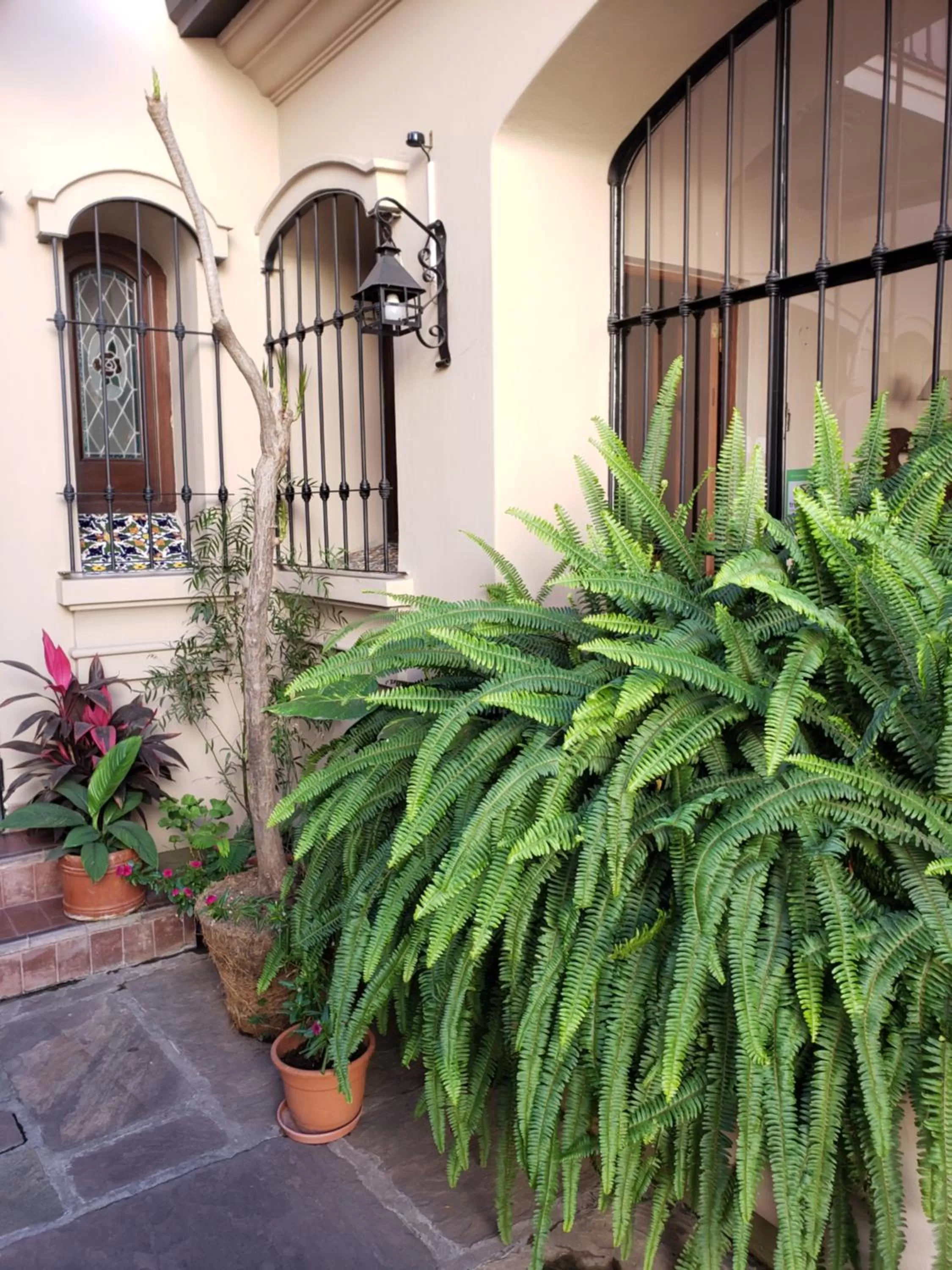 Posta del Ángel - Salta