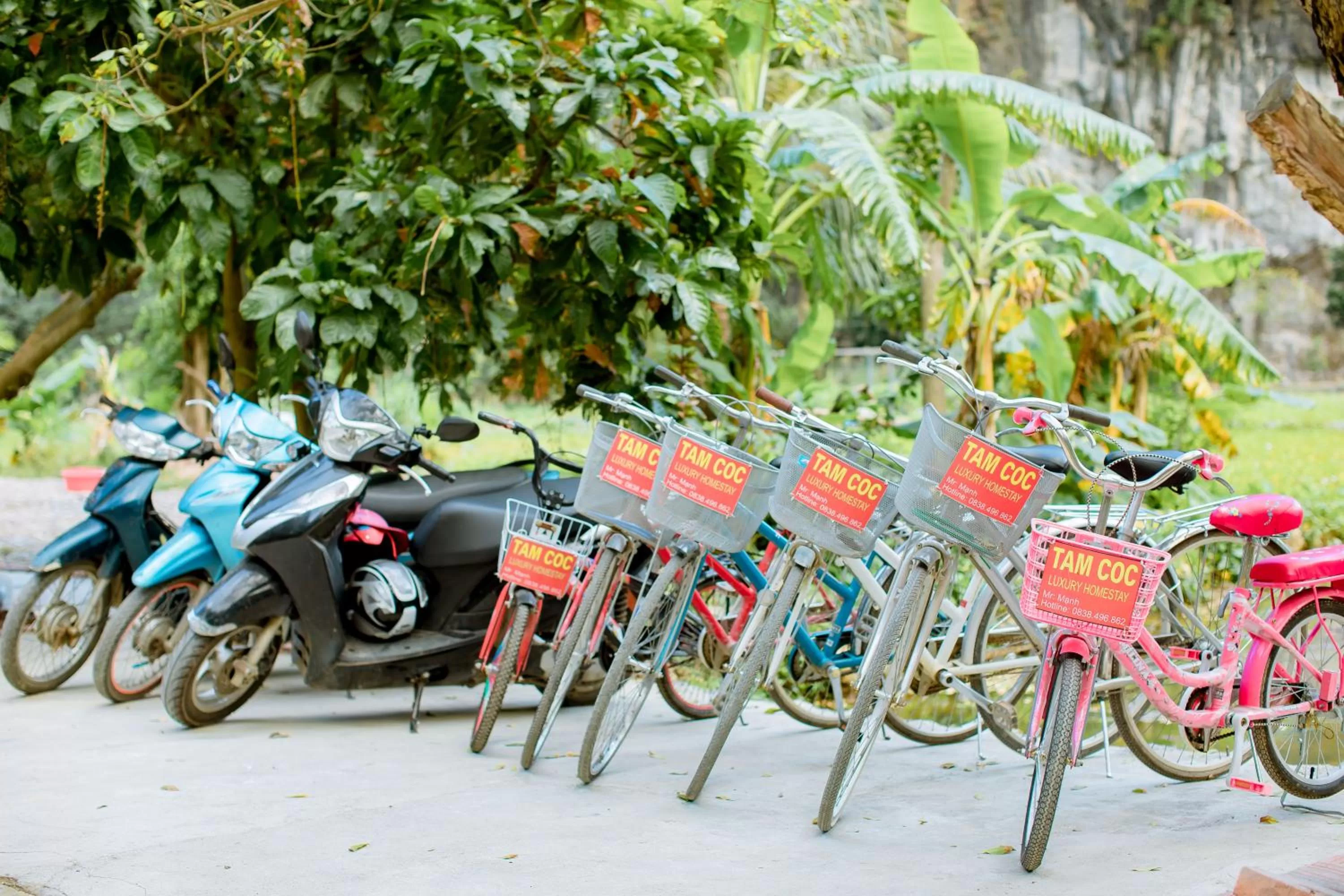 Activities in Tam Coc Luxury Homestay