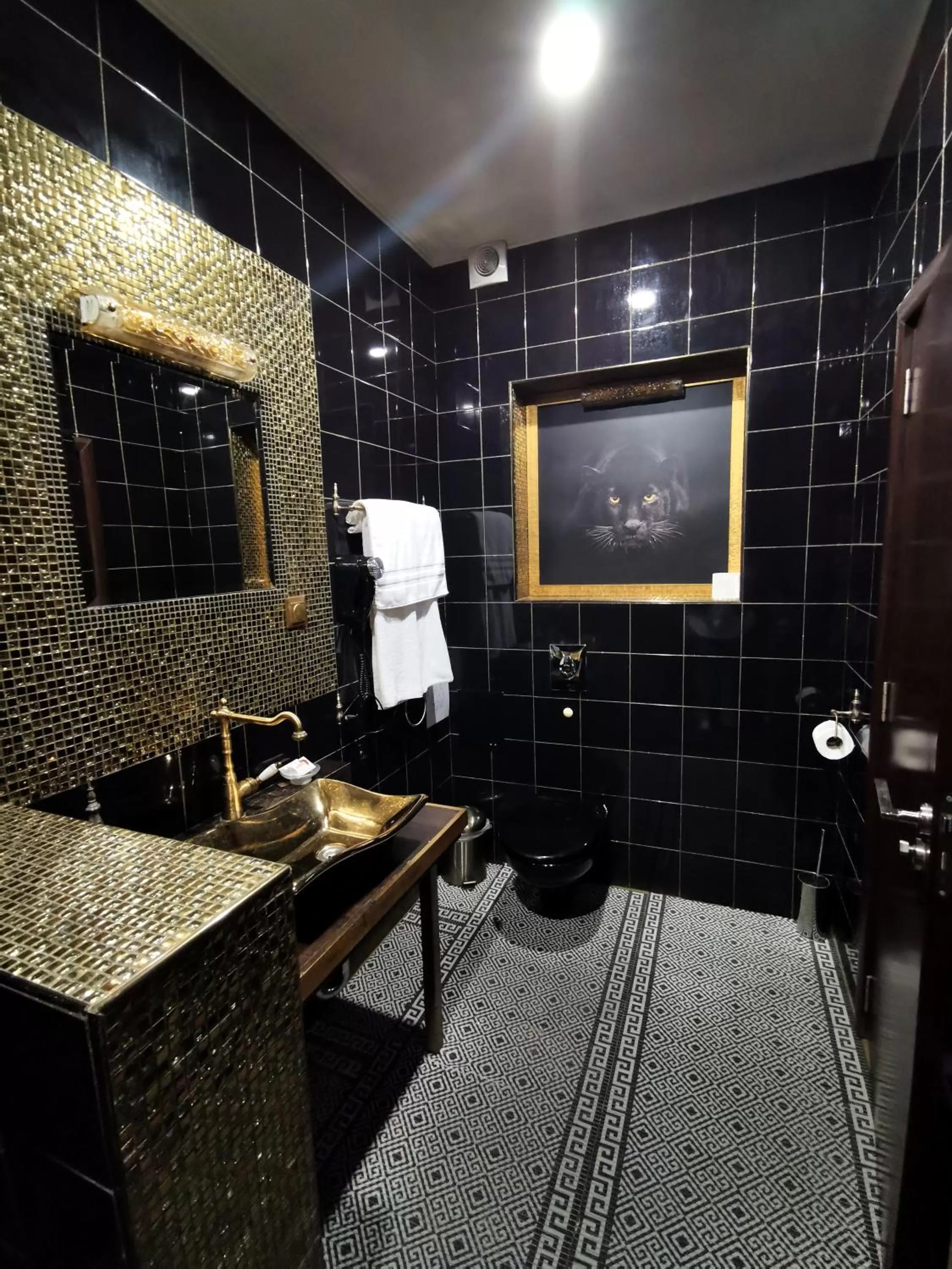 Bathroom in Hotel Africa