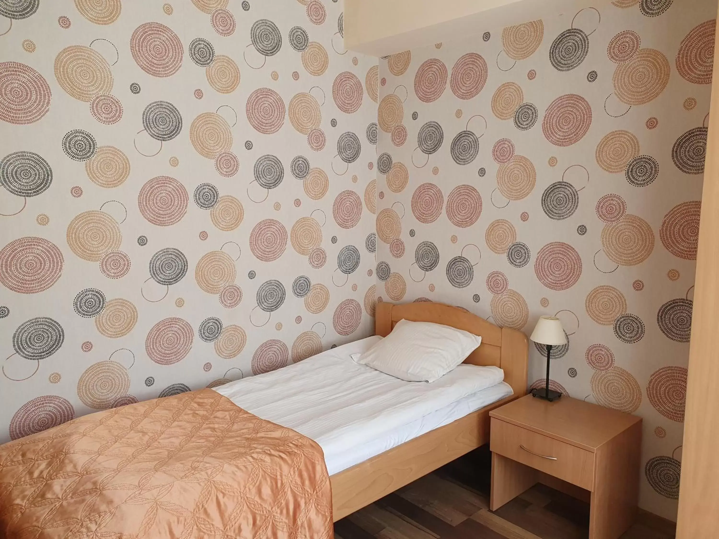 Single Room in Hotel Iskra Single Room in Hotel Iskra