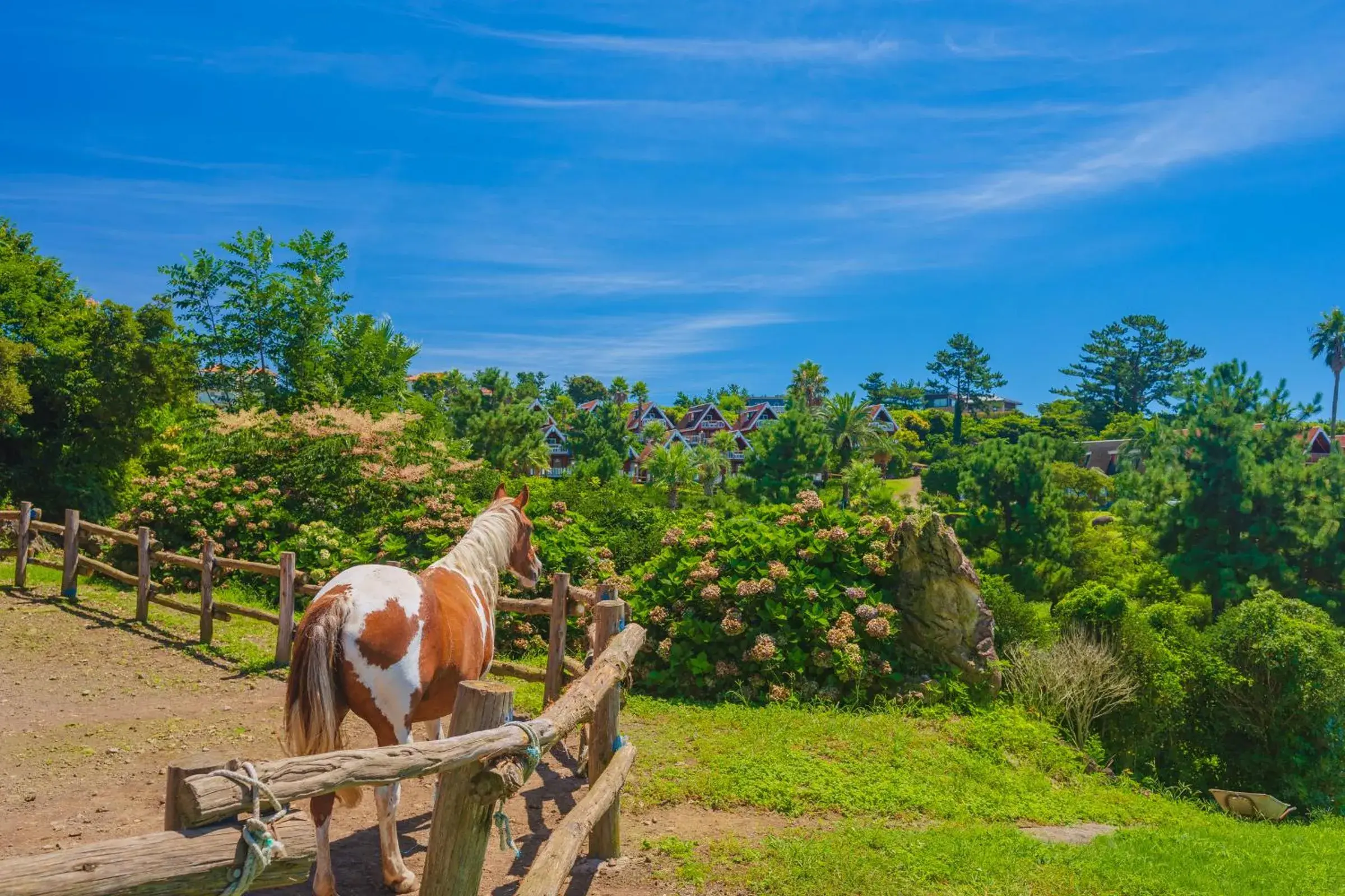 Three-Bedroom Villa (10 Adults) in Jungmun Log Pension & Resort Three-Bedroom Villa (10 Adults) in Jungmun Log Pension & Resort