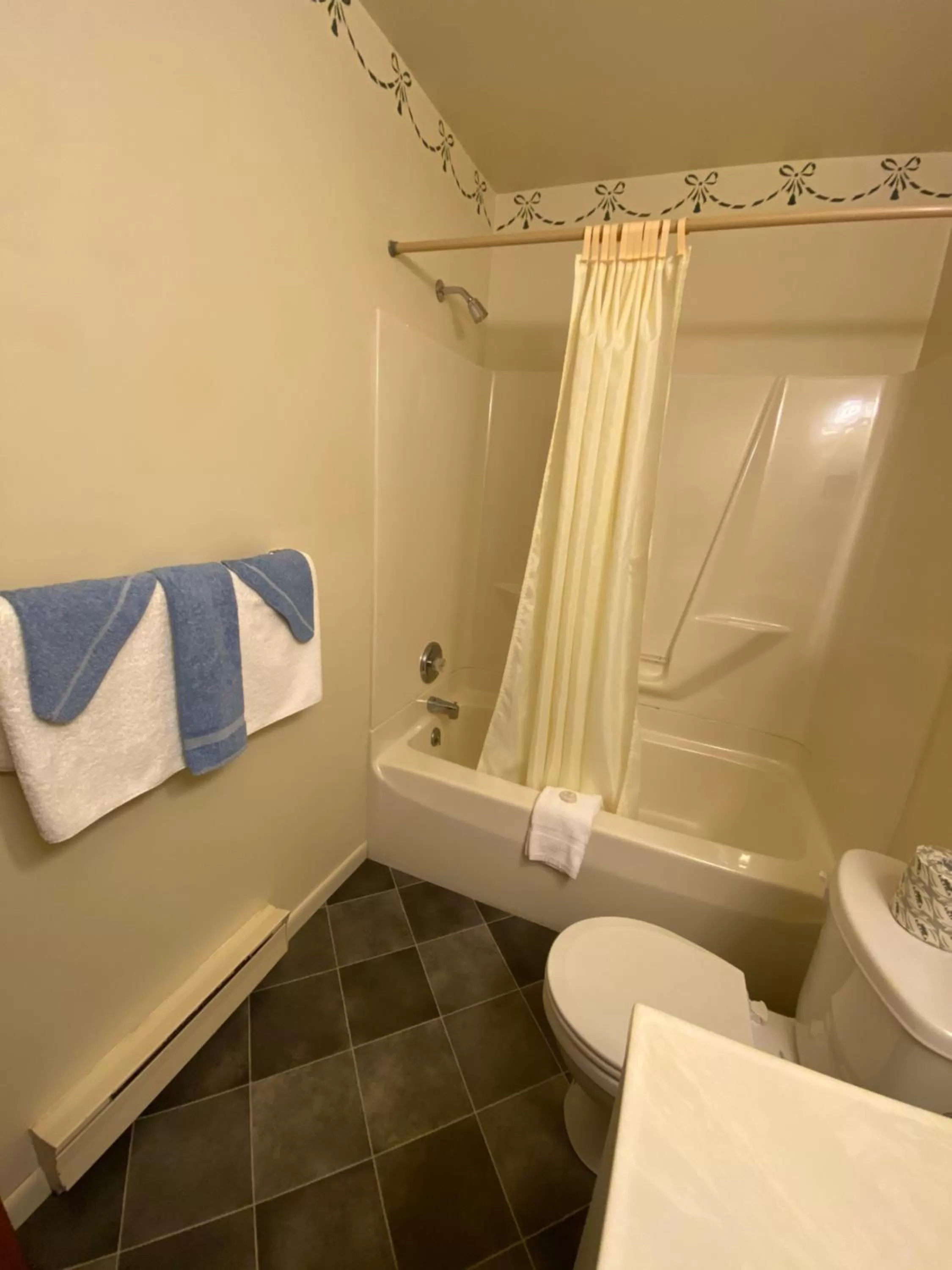 Bathroom in Birchwood inn