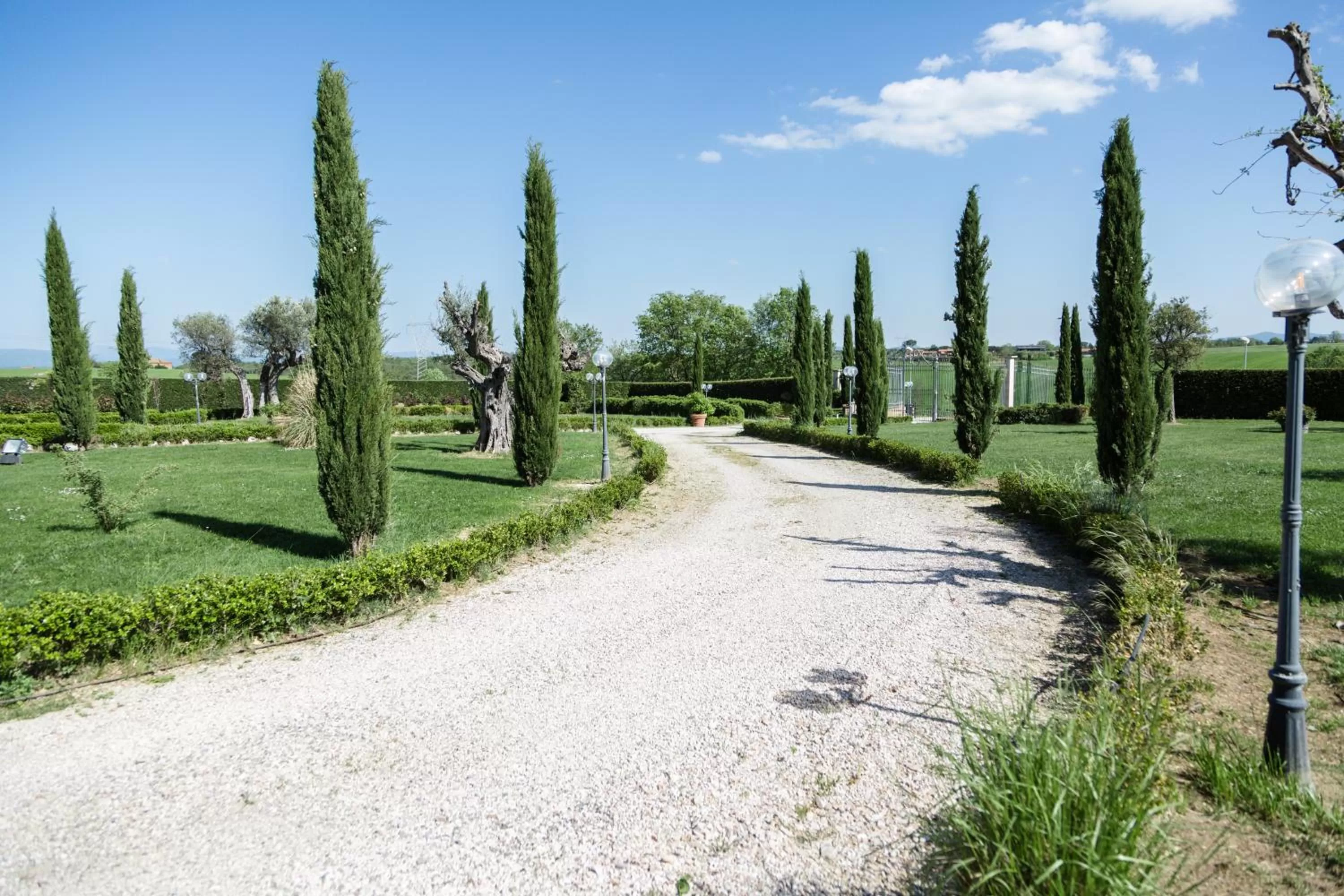 Natural landscape in Podere San Giuseppe