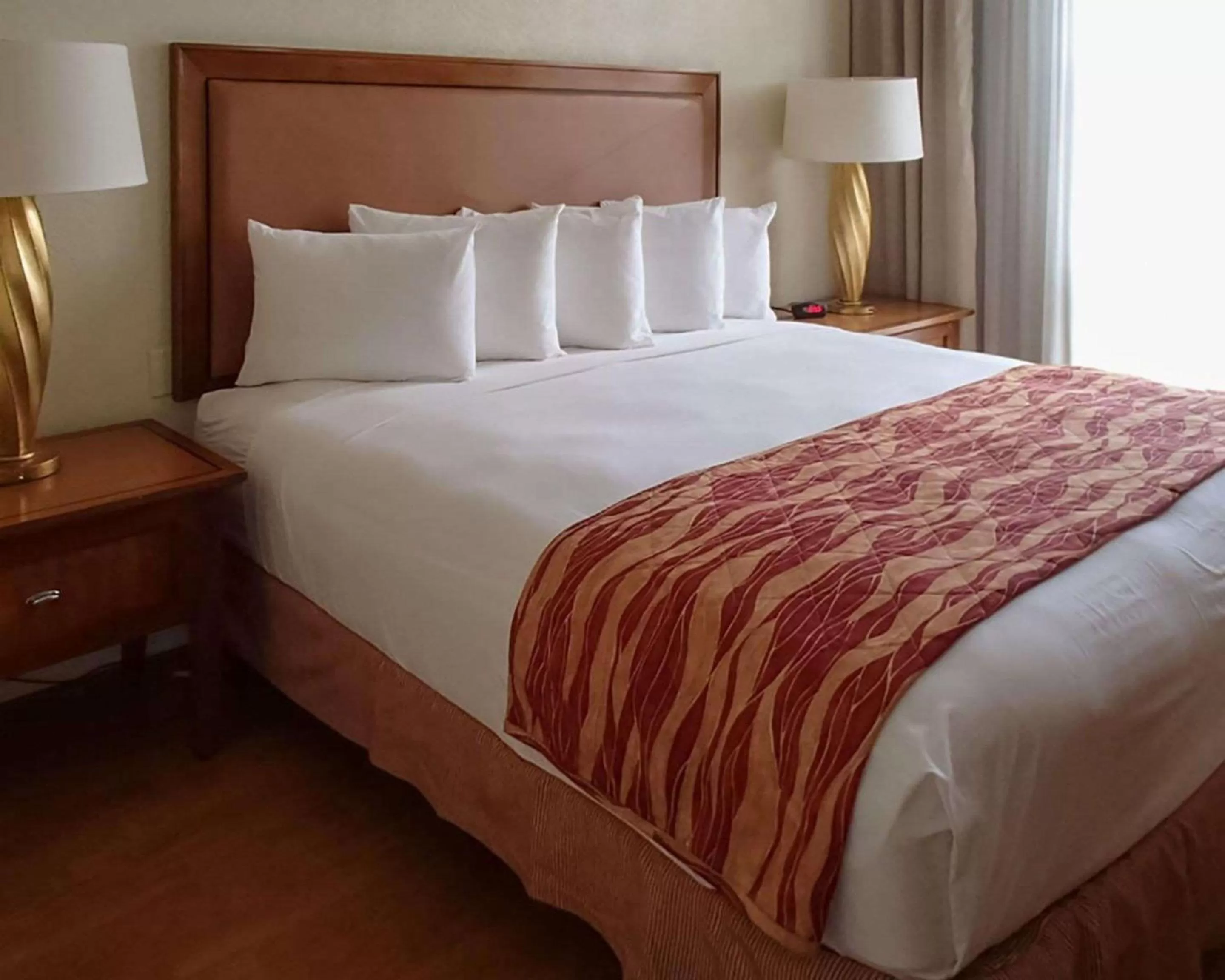 Photo of the whole room, Bed in Rodeway Inn South Miami - Coral Gables