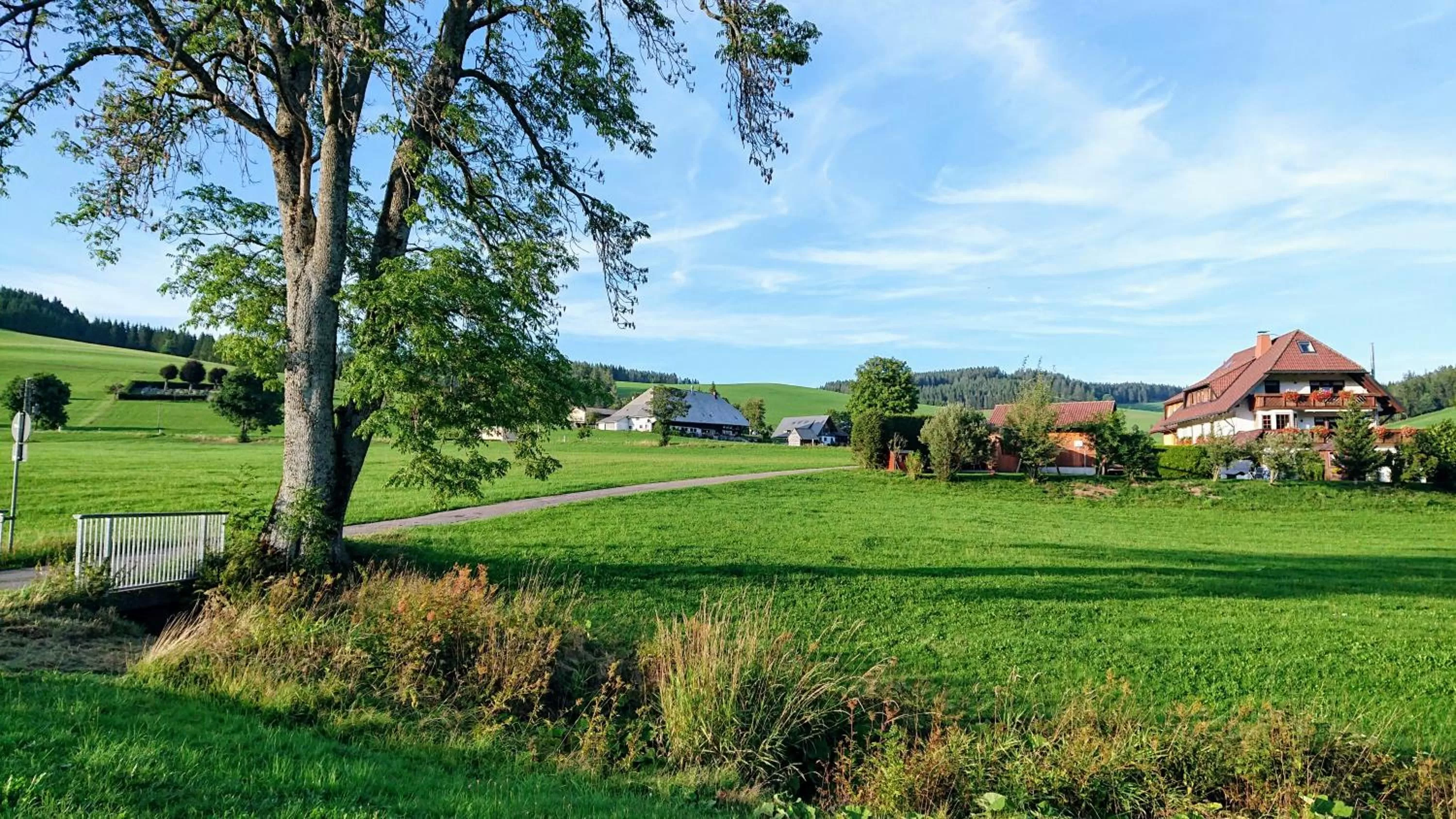 Natural landscape in ZUR TRAUBE Schwarzwaldhotel & Restaurant am Titisee