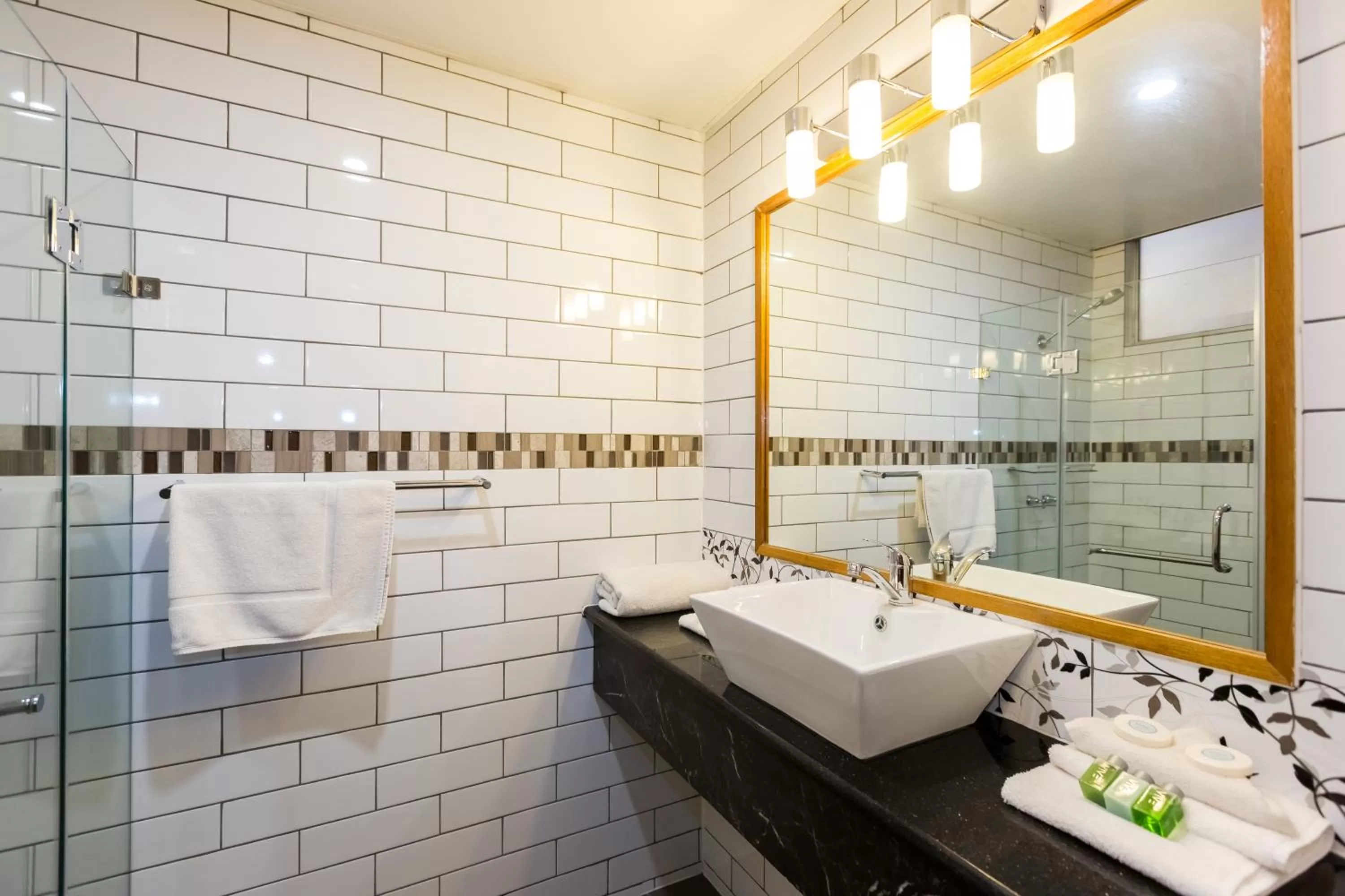 Bathroom in Elkira Court Motel