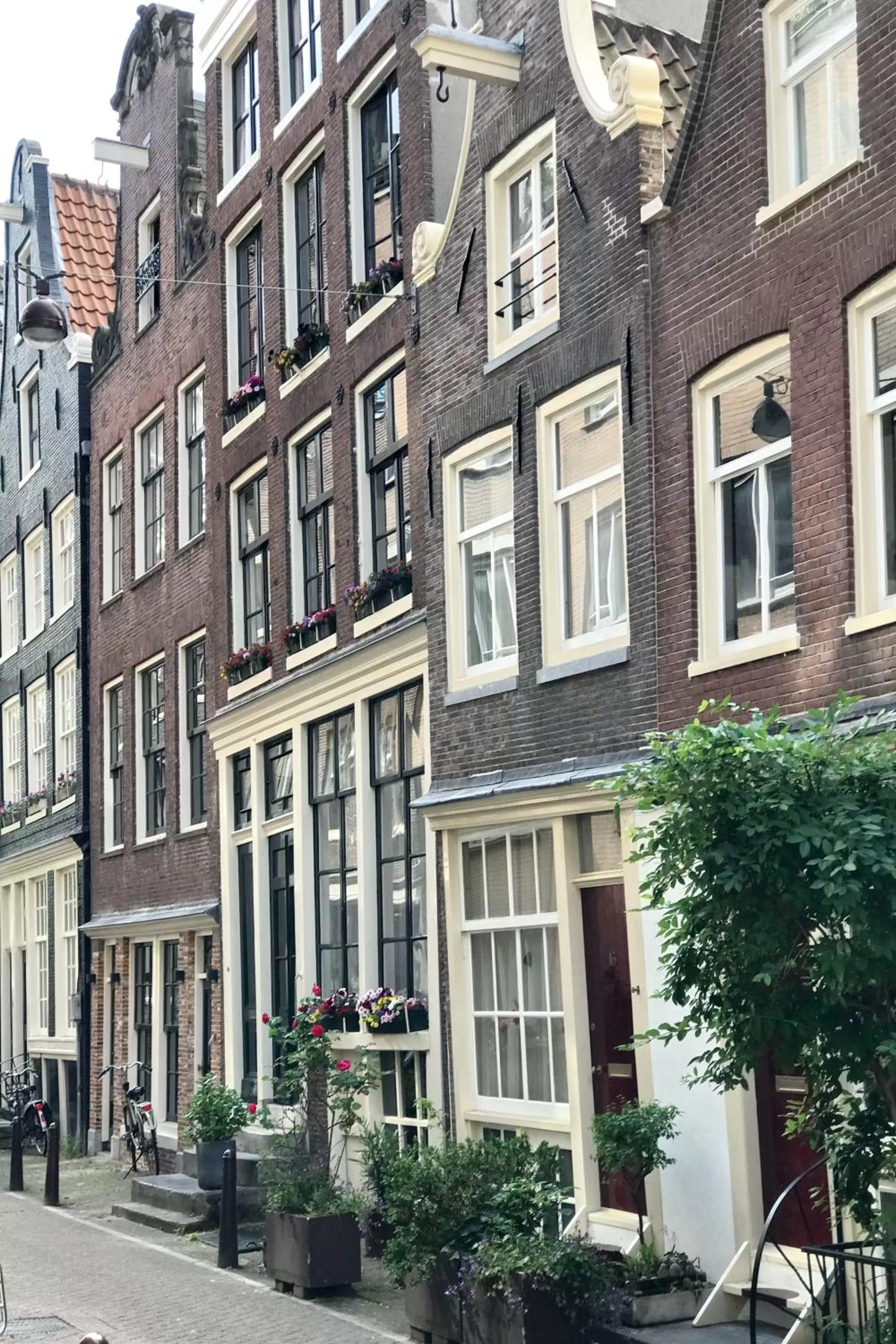 Property building in Cityview Hotel