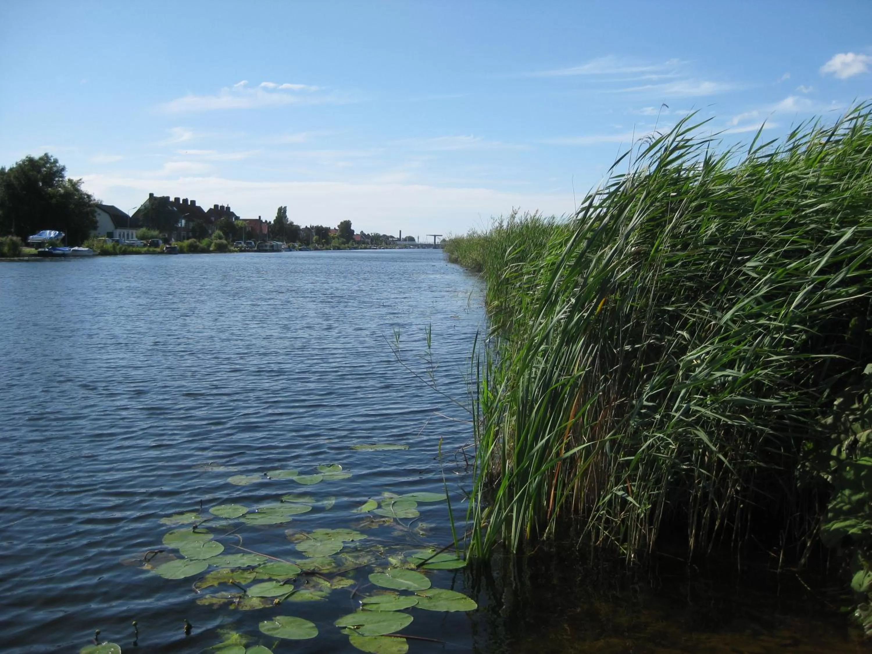 Area and facilities in Quarenta Studio