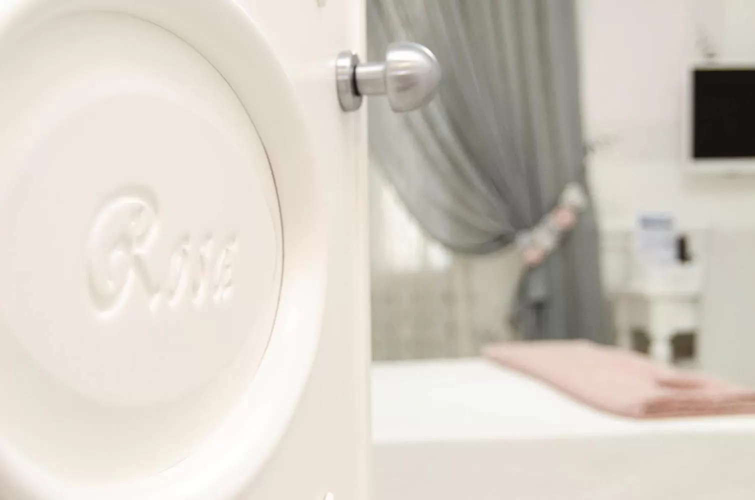 Decorative detail in Domus Rosa