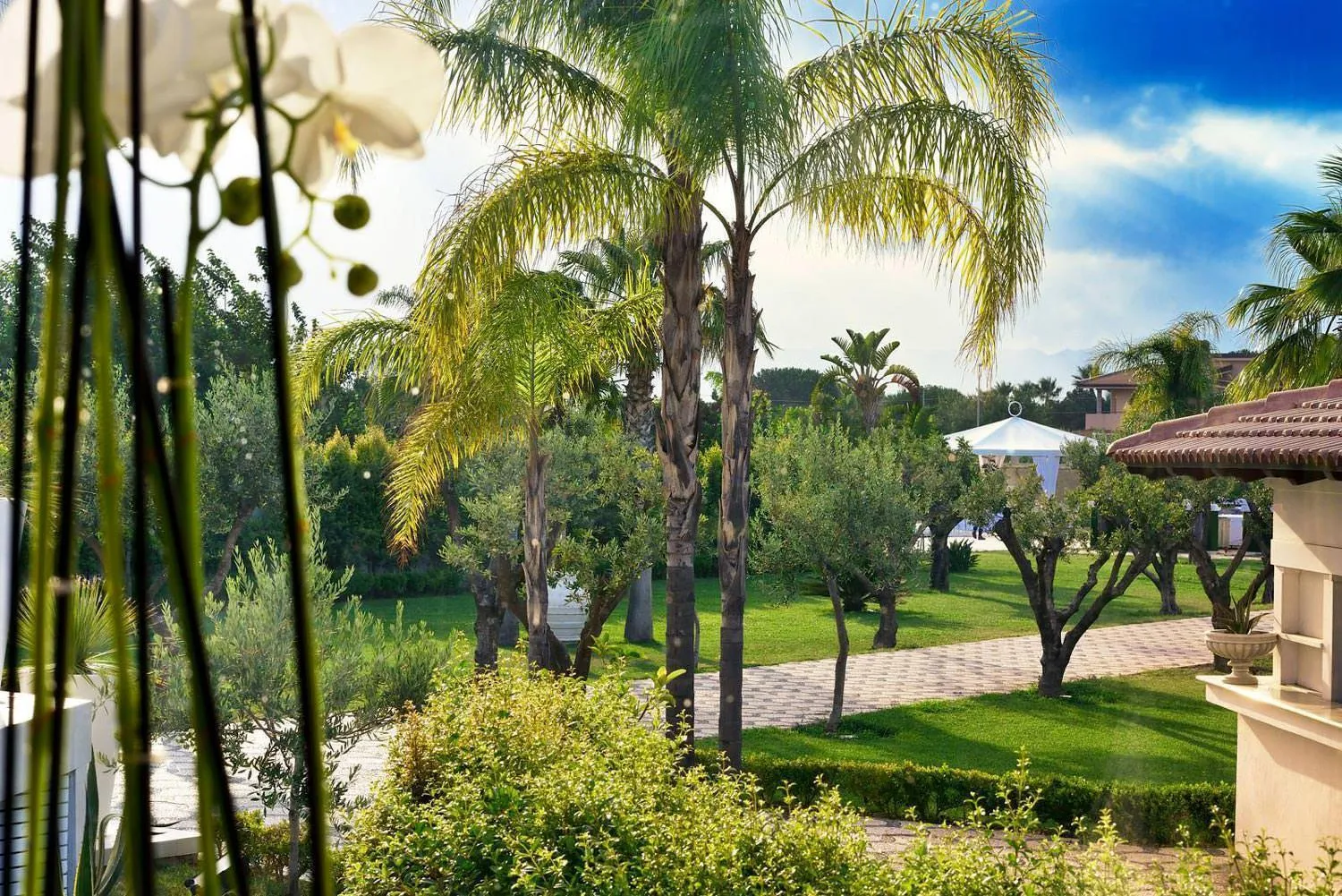 Garden in Villa La Fenice