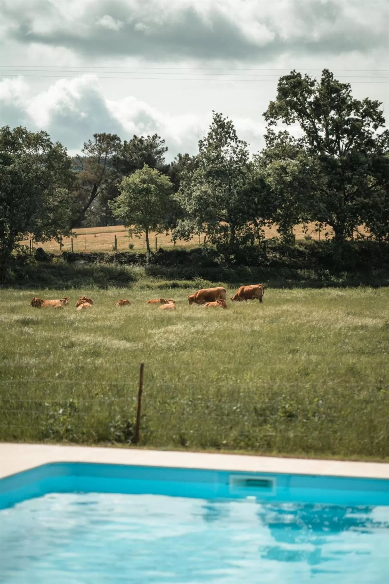 Swimming pool in Quinta do Rio Noémi