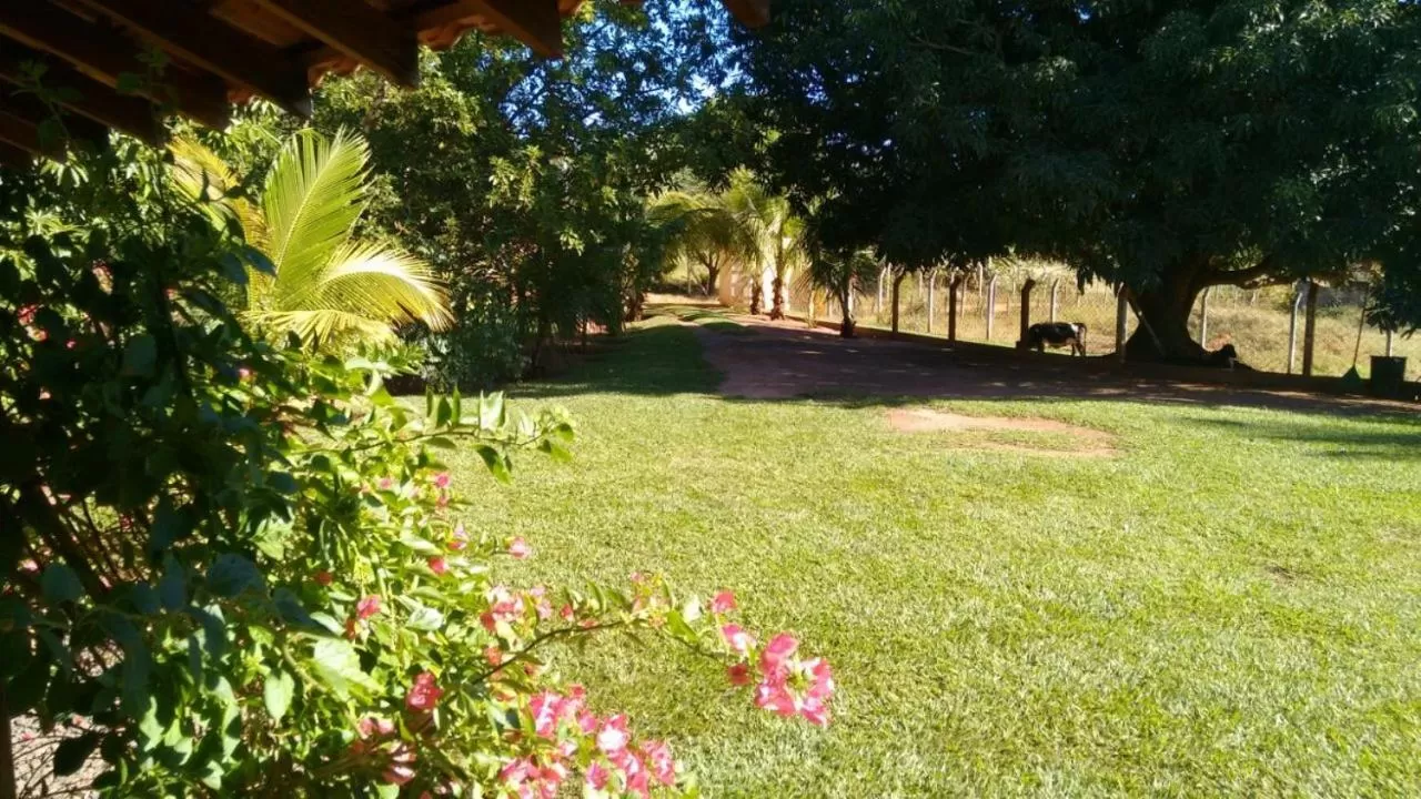 Garden in Pousada Sorocabana