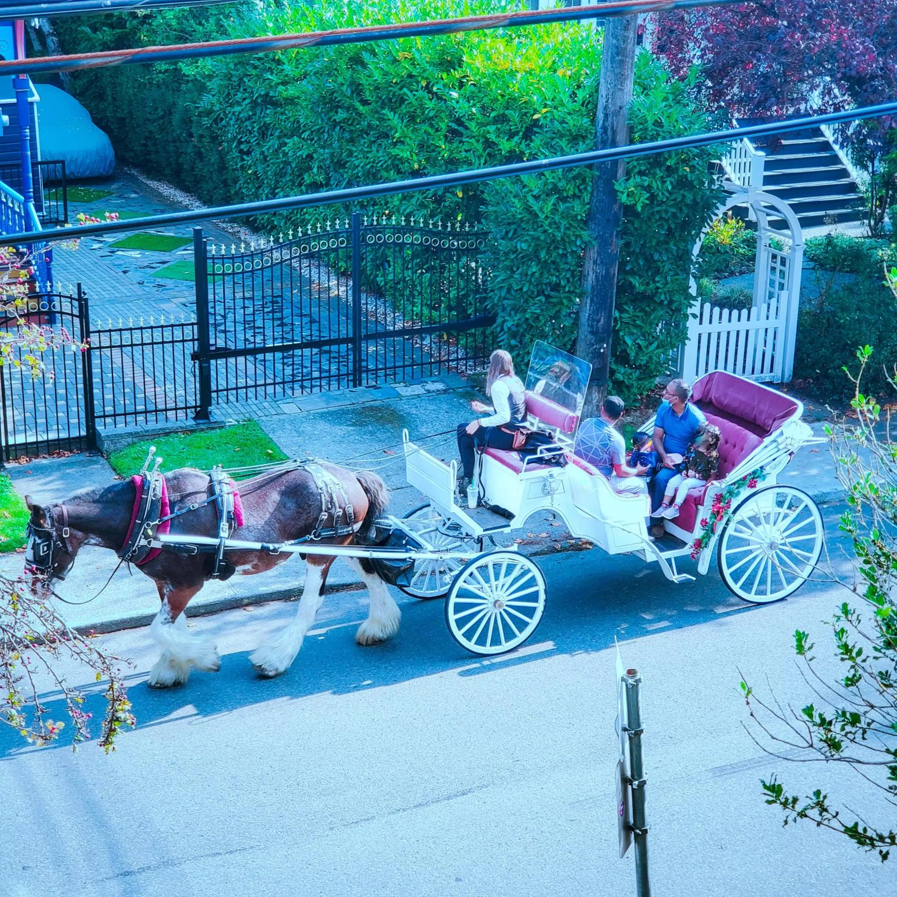 Day in James Bay Inn Hotel, Suites & Cottage