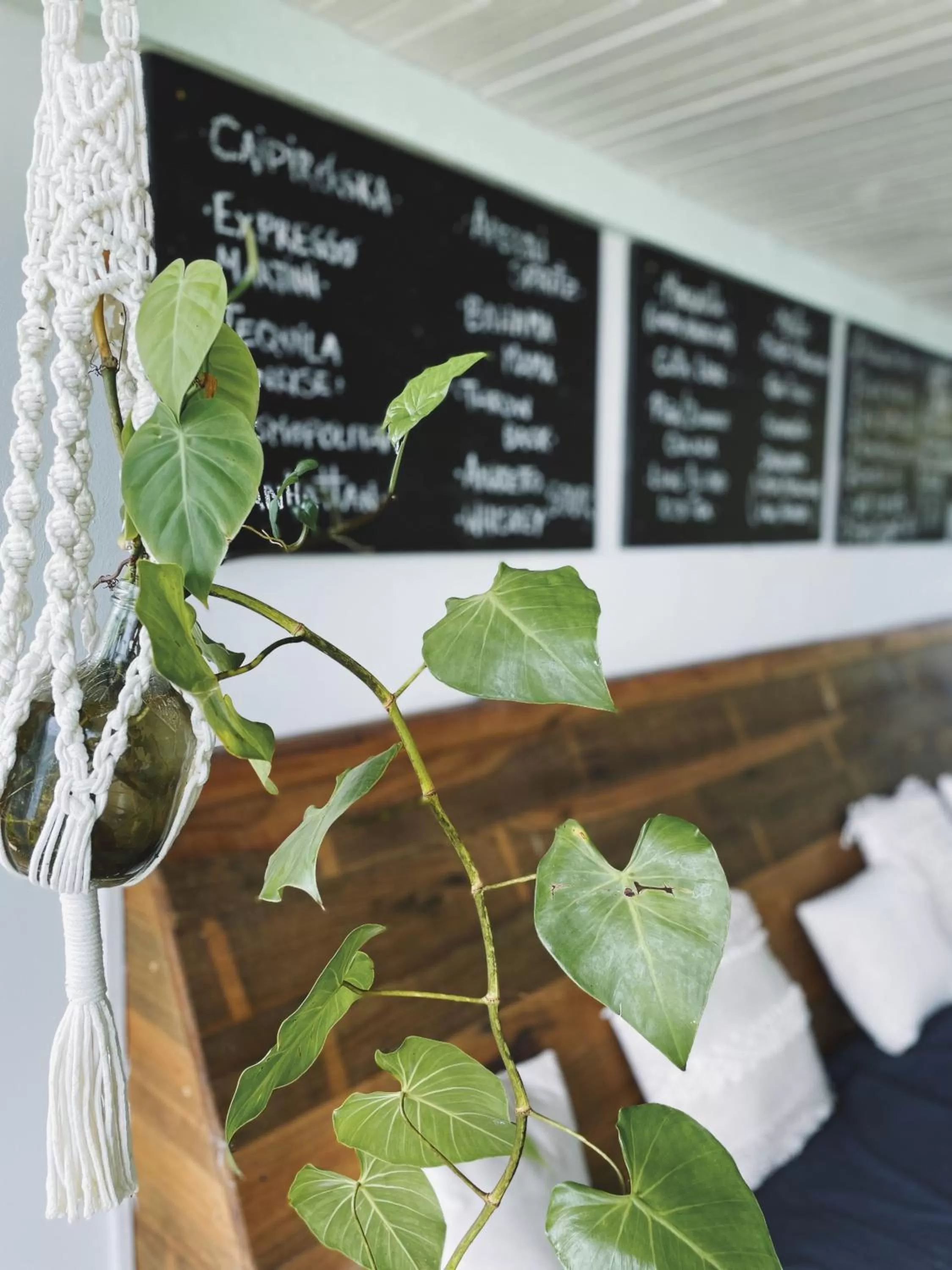 Lounge or bar in Bird Island Bungalows