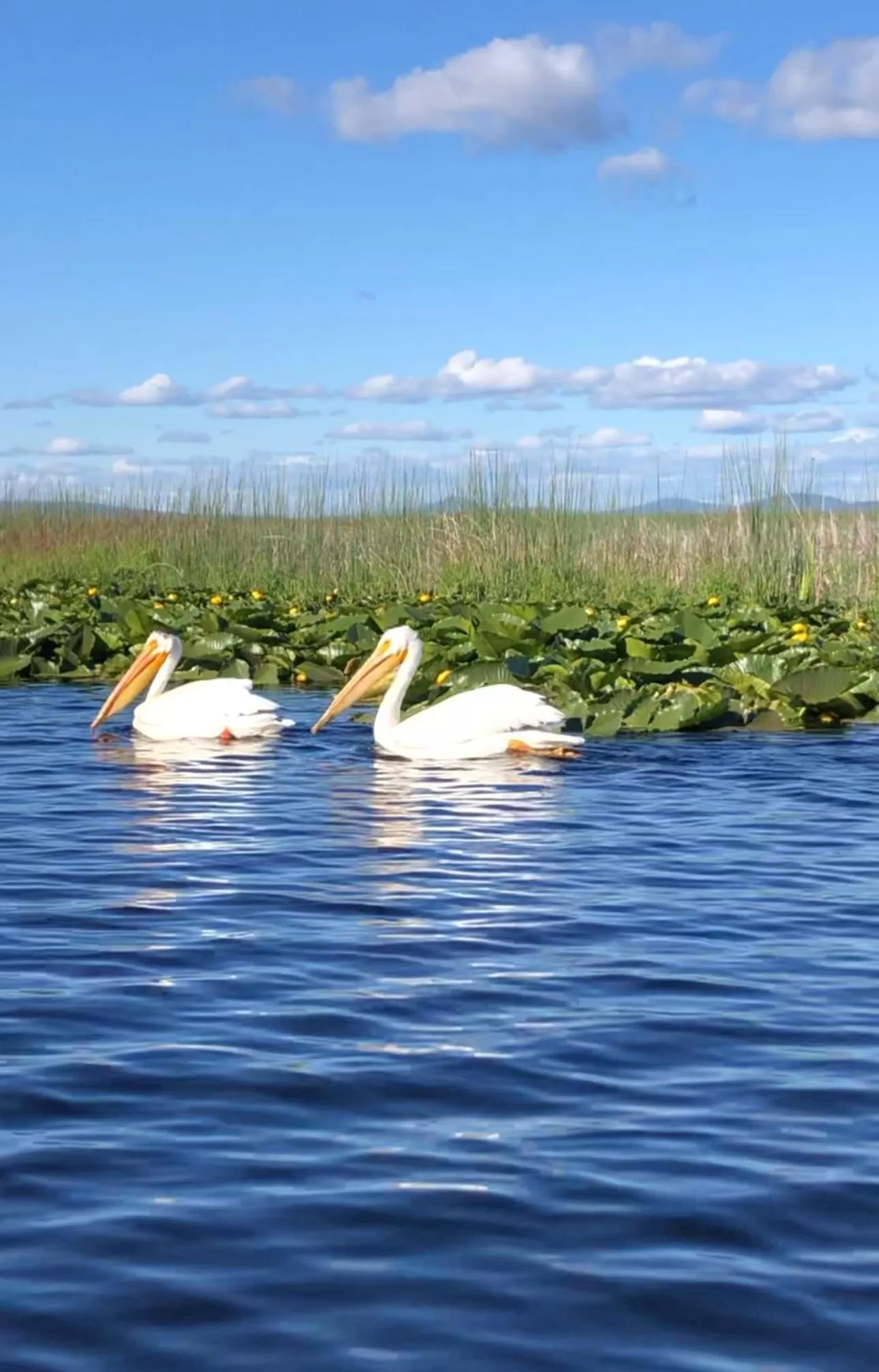 Crater Lake Gateway - Hwy 140