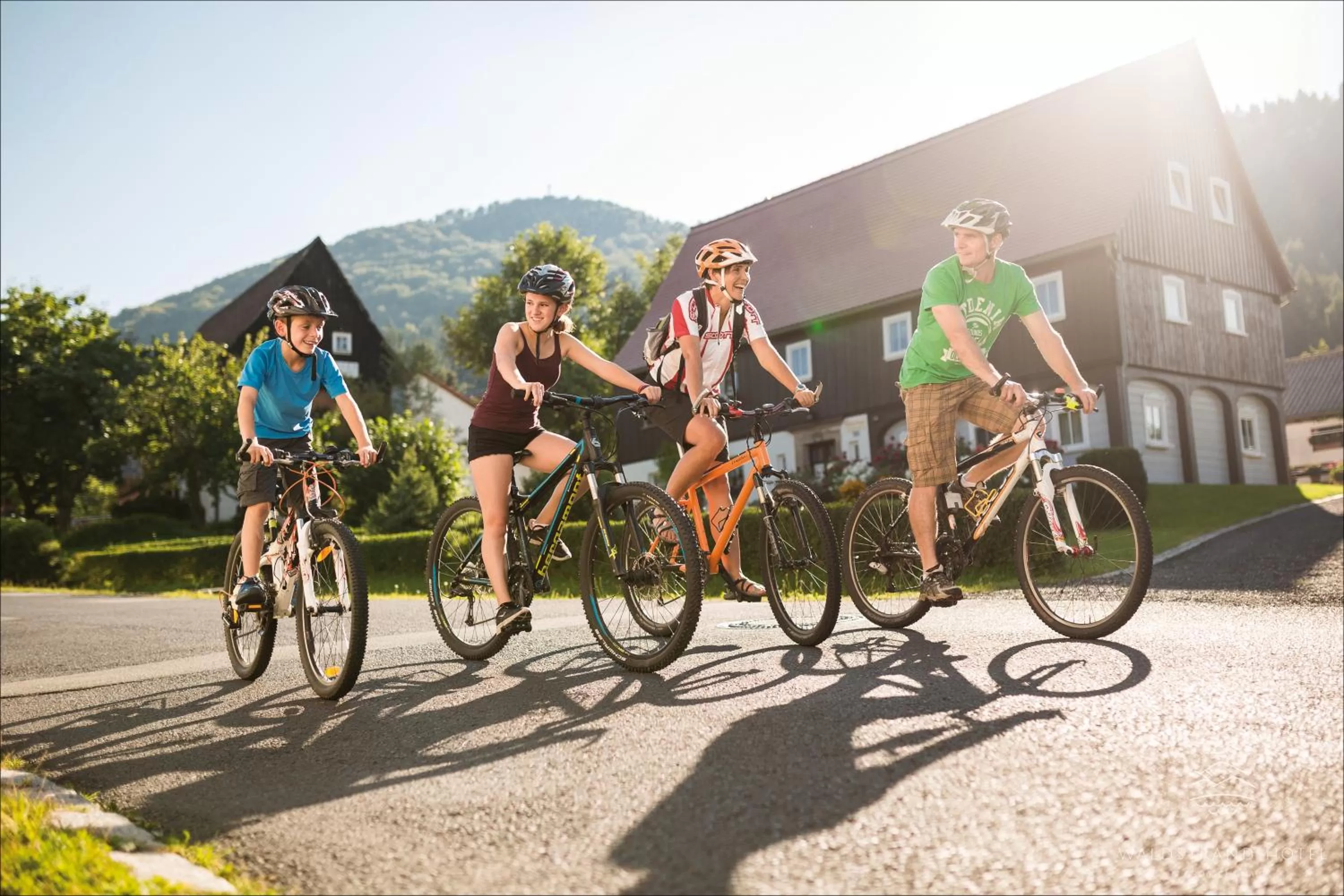Cycling, Biking in Waldstrand-Hotel Großschönau